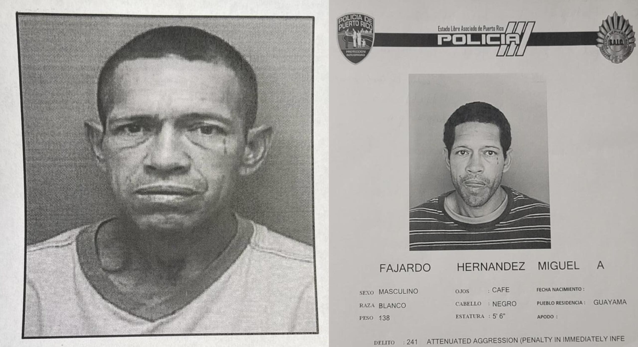 Fichas de Miguel A. Fajardo Hernández.