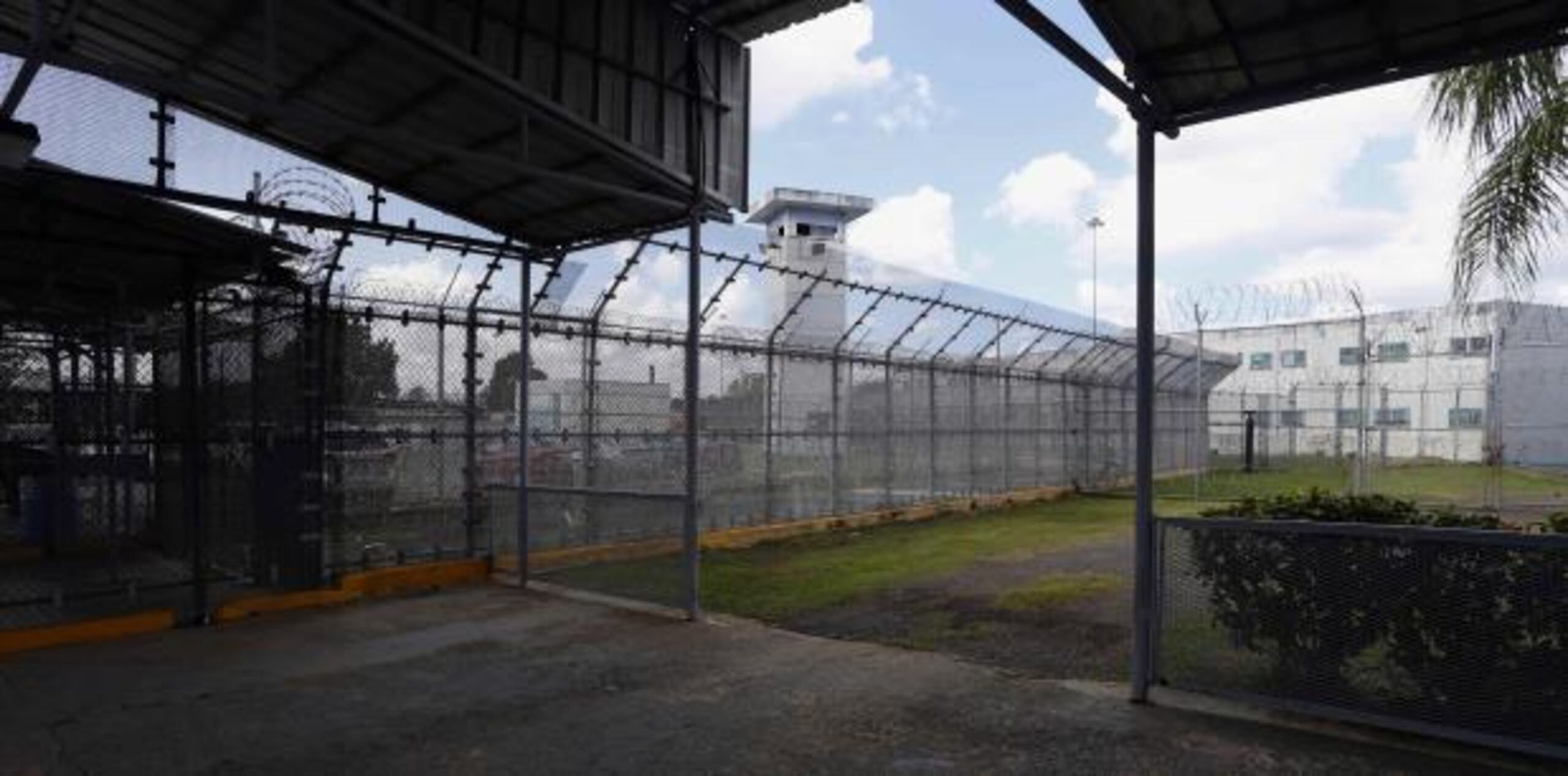 El operativo de hoy se llevó a cabo un día después de que oficiales de la cárcel Centro de Ingresos Metropolitano Bayamón 705 ocuparan un contrabando que iba dirigido a los reos. (EFE)