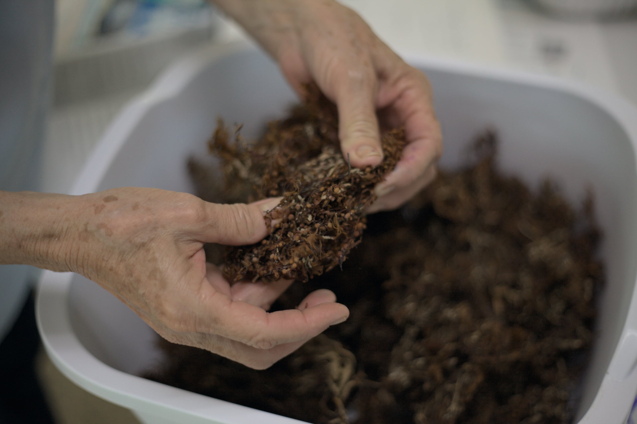 Entre sus usos, está la producción de electrolitos sólidos para la fabricación de baterías de litio.