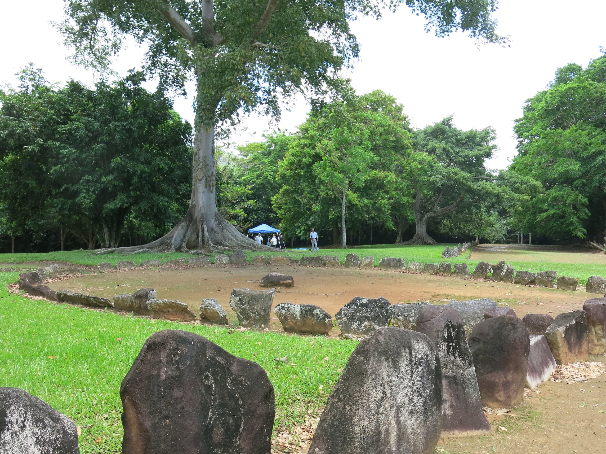 Fotografía donde se observan uno de los diez bateyes del Centro Ceremonial Indígena de Caguana, el 4 de junio de 2024, en Utuado (EFE/Marina Villén)