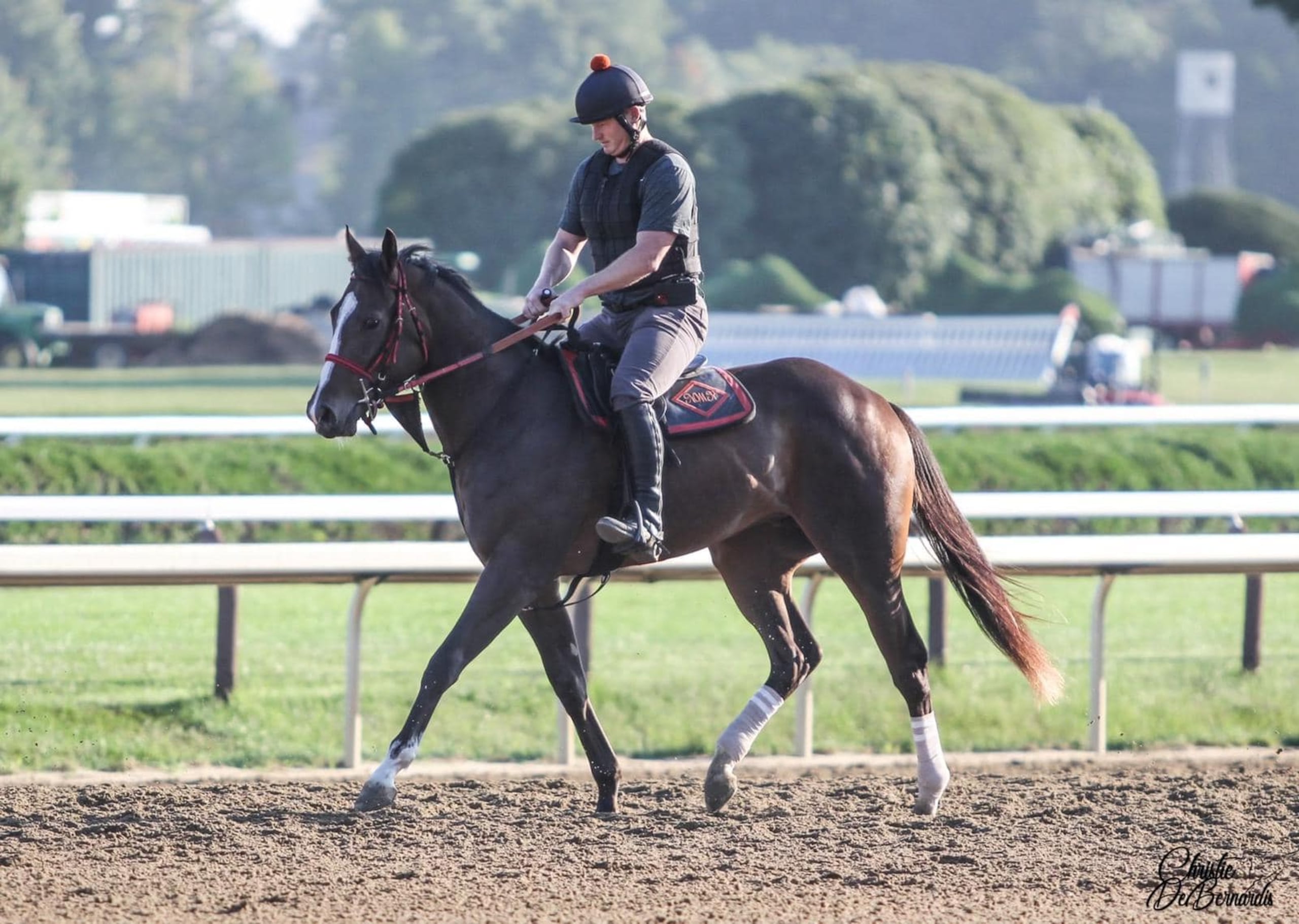 Este es el ejemplar Closethegame Sugar, que es copropiedad de Edwin 'Sugar' Díaz y que fue conducido a la victoria por Irad Ortiz el sábado en Kentucky.