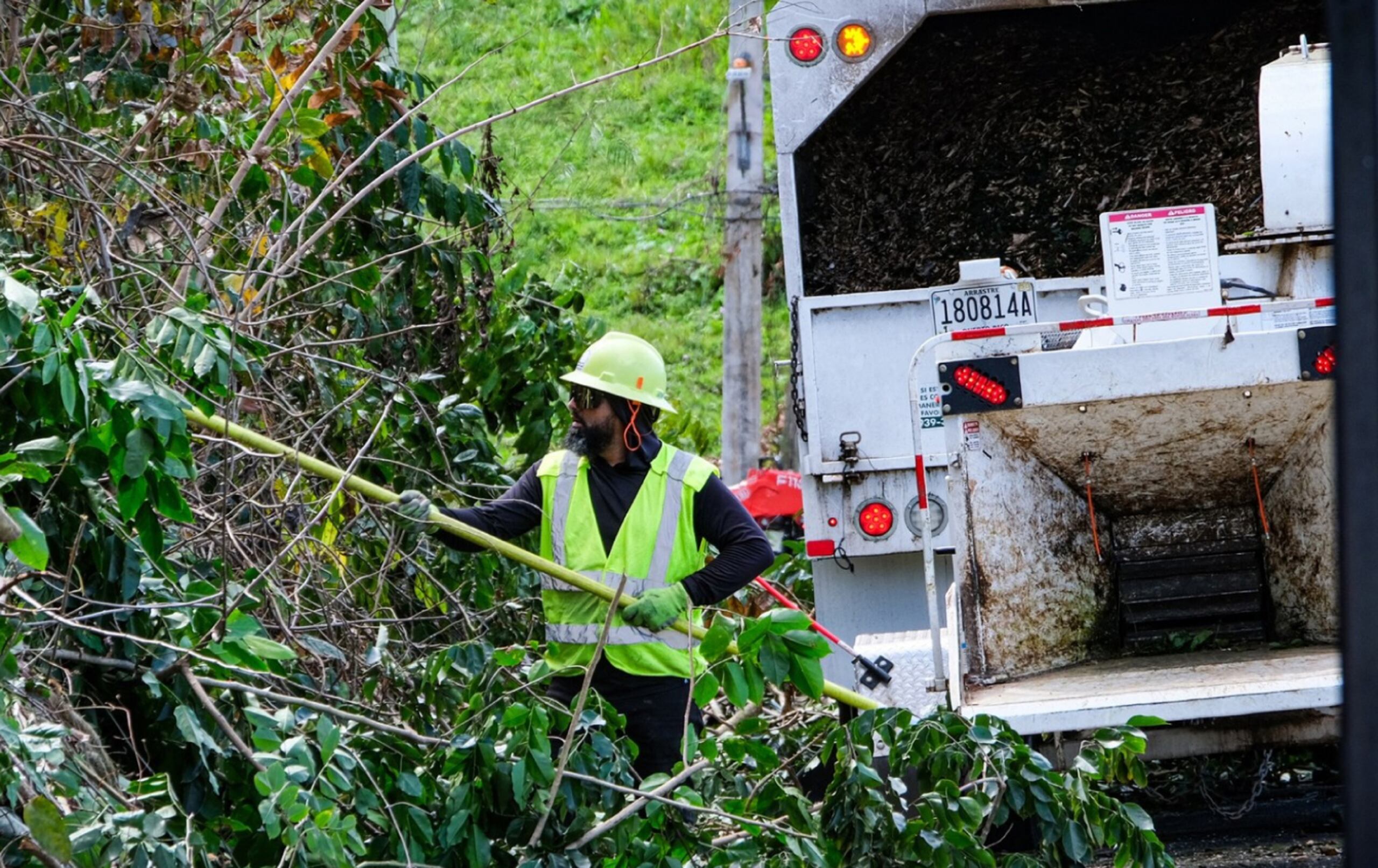 El programa proactivo de limpieza de vegetación es financiado por FEMA, sin costo adicional para los clientes.