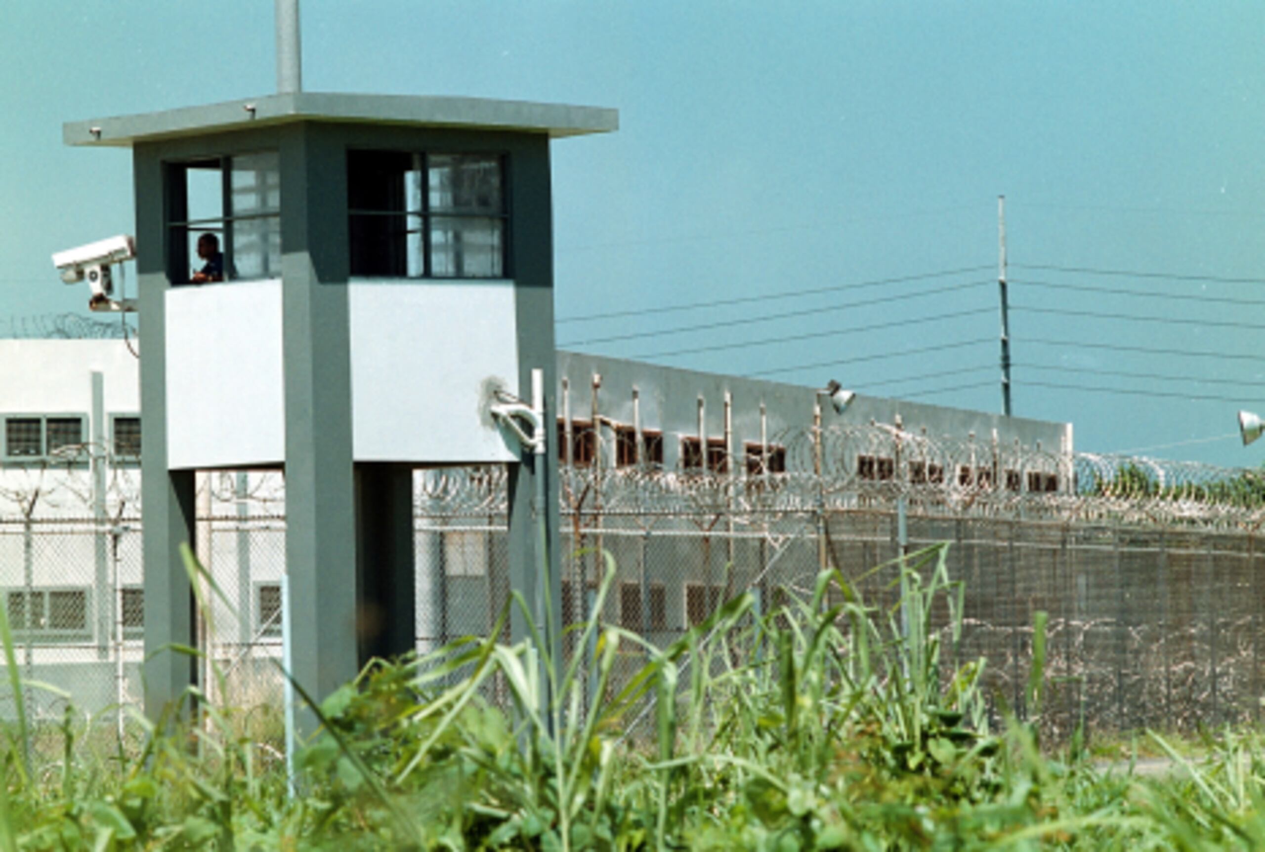 A Ziomara Fernández García se le ocupó marihuana en el sostén mientras visitaba el módulo 705 de la cárcel regional de Bayamón. (Archivo)