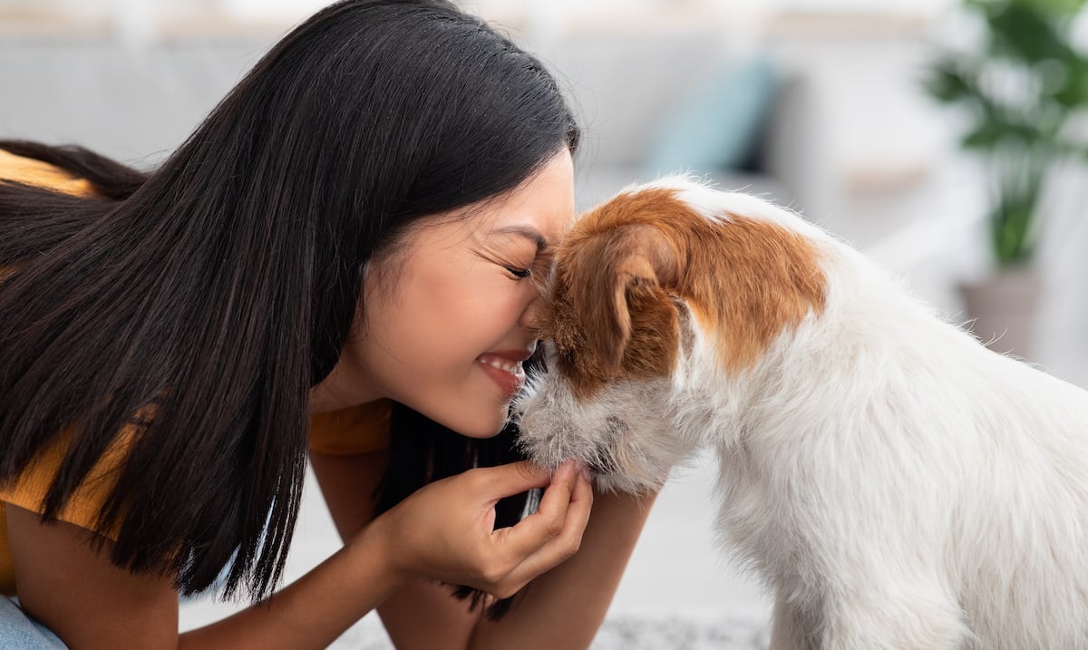 ¡Mejora tu Salud con un Compañero Peludo! Los Increíbles Beneficios de Tener una Mascota