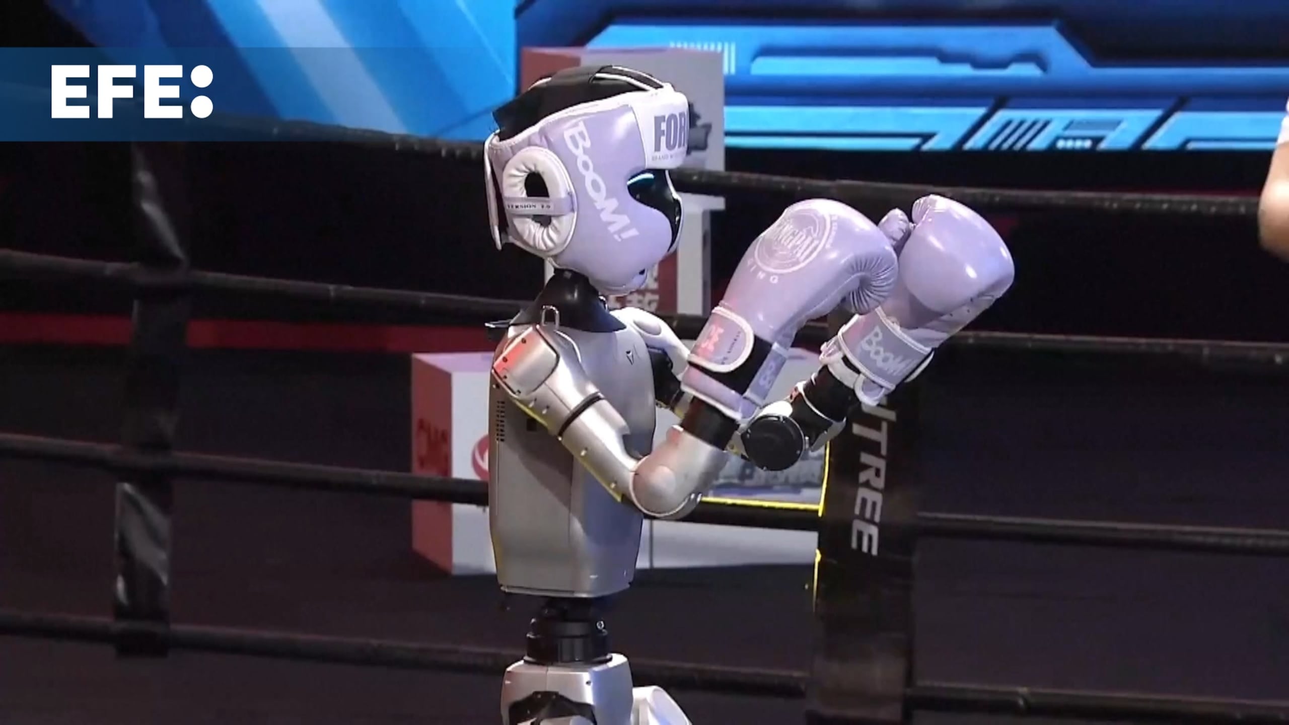 China celebró este fin de semana en la ciudad de Hangzhou (este) el primer torneo de boxeo protagonizado por robots humanoides, según afirma su organizador, el Grupo de Medios de China (CMG), en un evento que combinó combates reales con control humano en tiempo real y retransmisión global. Captura de vídeo. EFE
IMÁGENES: CCTV, NO APTAS PARA SU USO DENTRO DEL TERRITORIO CHINO, NO MONETIZAR.