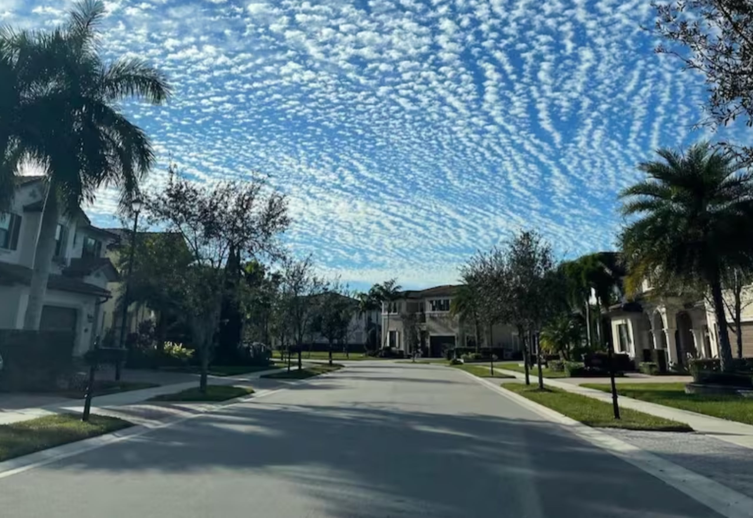 La vida diaria en Parkland está marcada por un ritmo pausado y por una infraestructura pensada para el disfrute familiar.