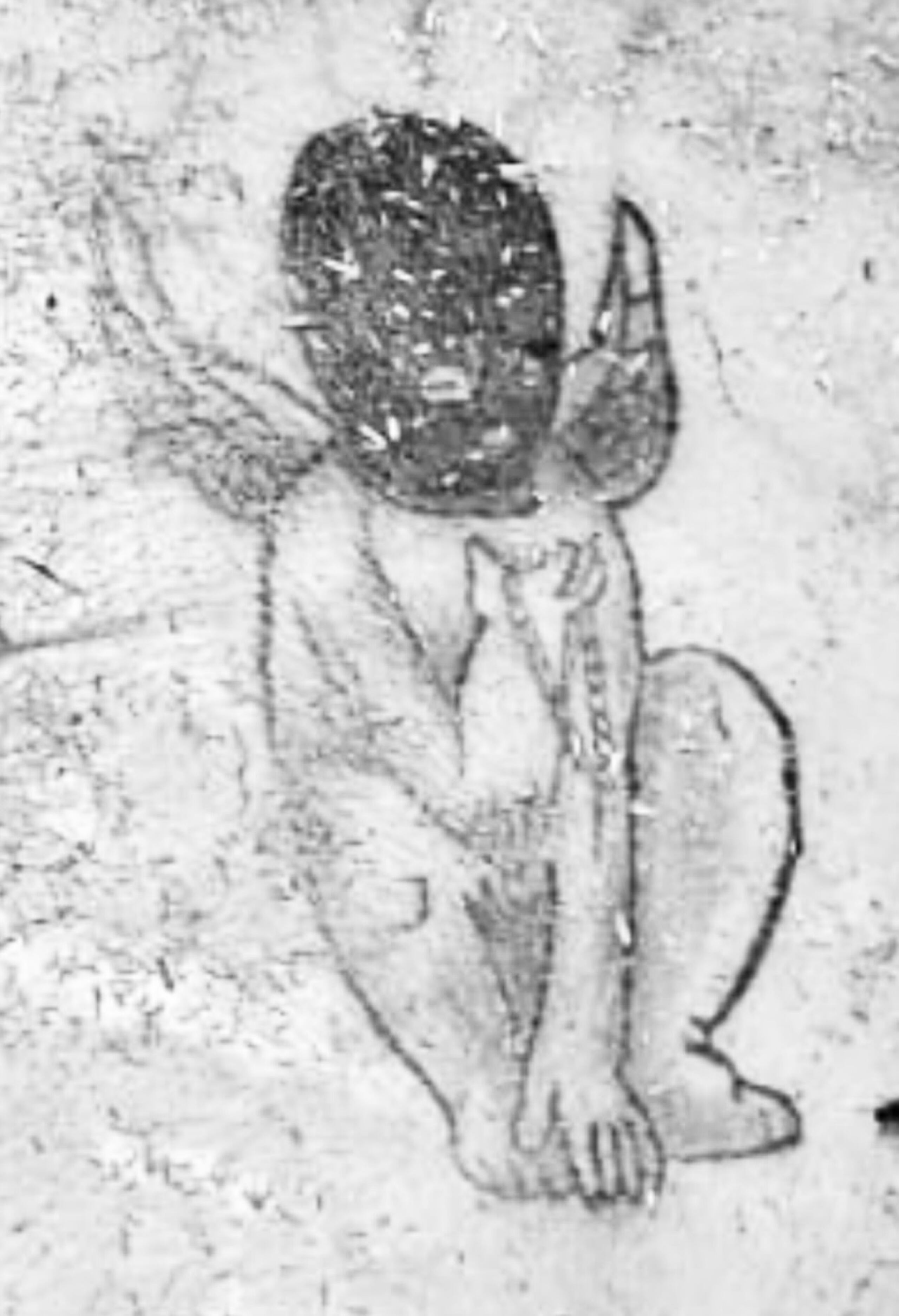 La Policía difundió esta foto de un tatuaje con el fin de identificar a un hombre que fue asesinado en San Sebastián.