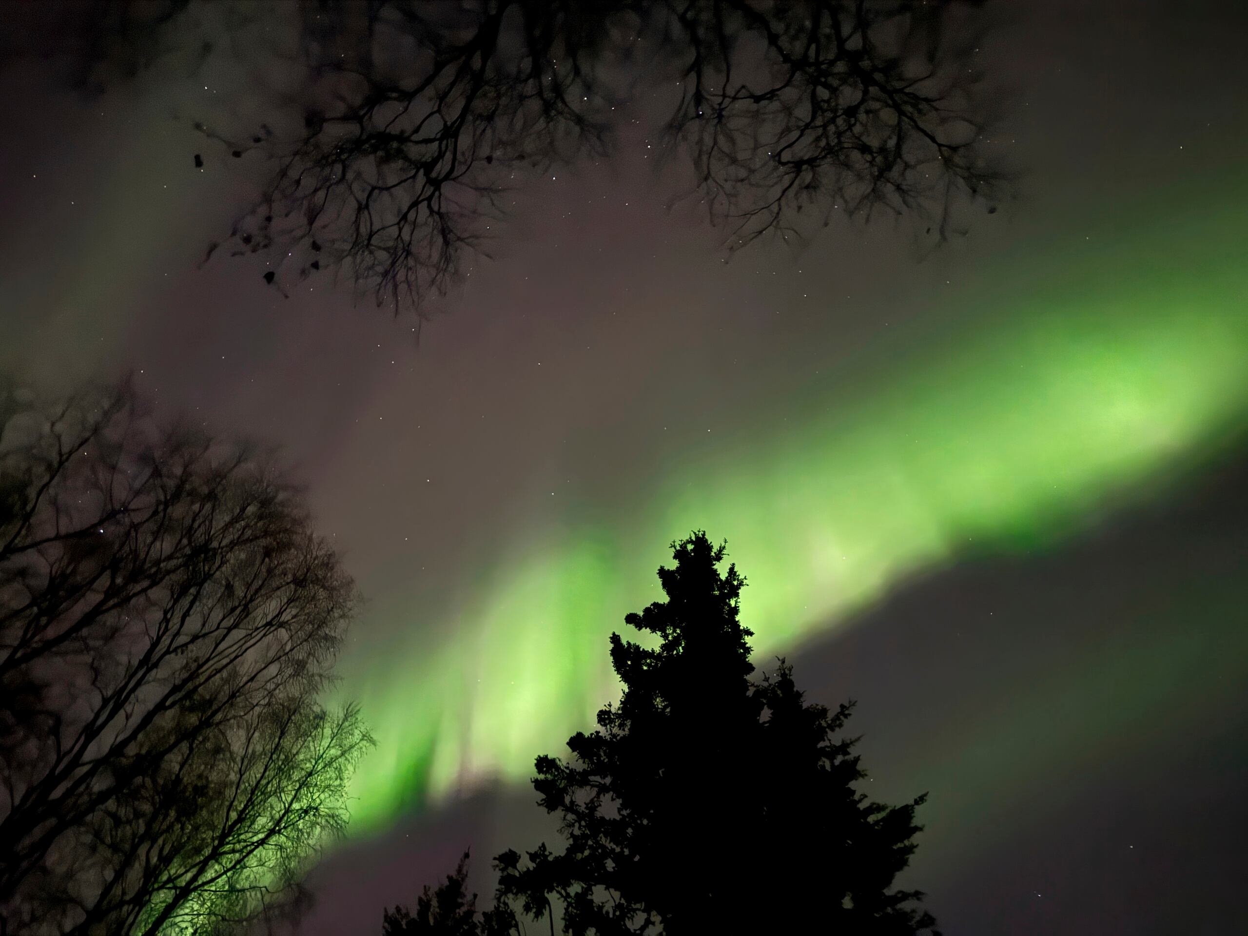 Expertos en meteorología espacial indican que las auroras podrían ser visibles desde el jueves, a las 10 de la noche hora del este de Estados Unidos, hasta la 1 de la madrugada del viernes hora del este de Estados Unidos.