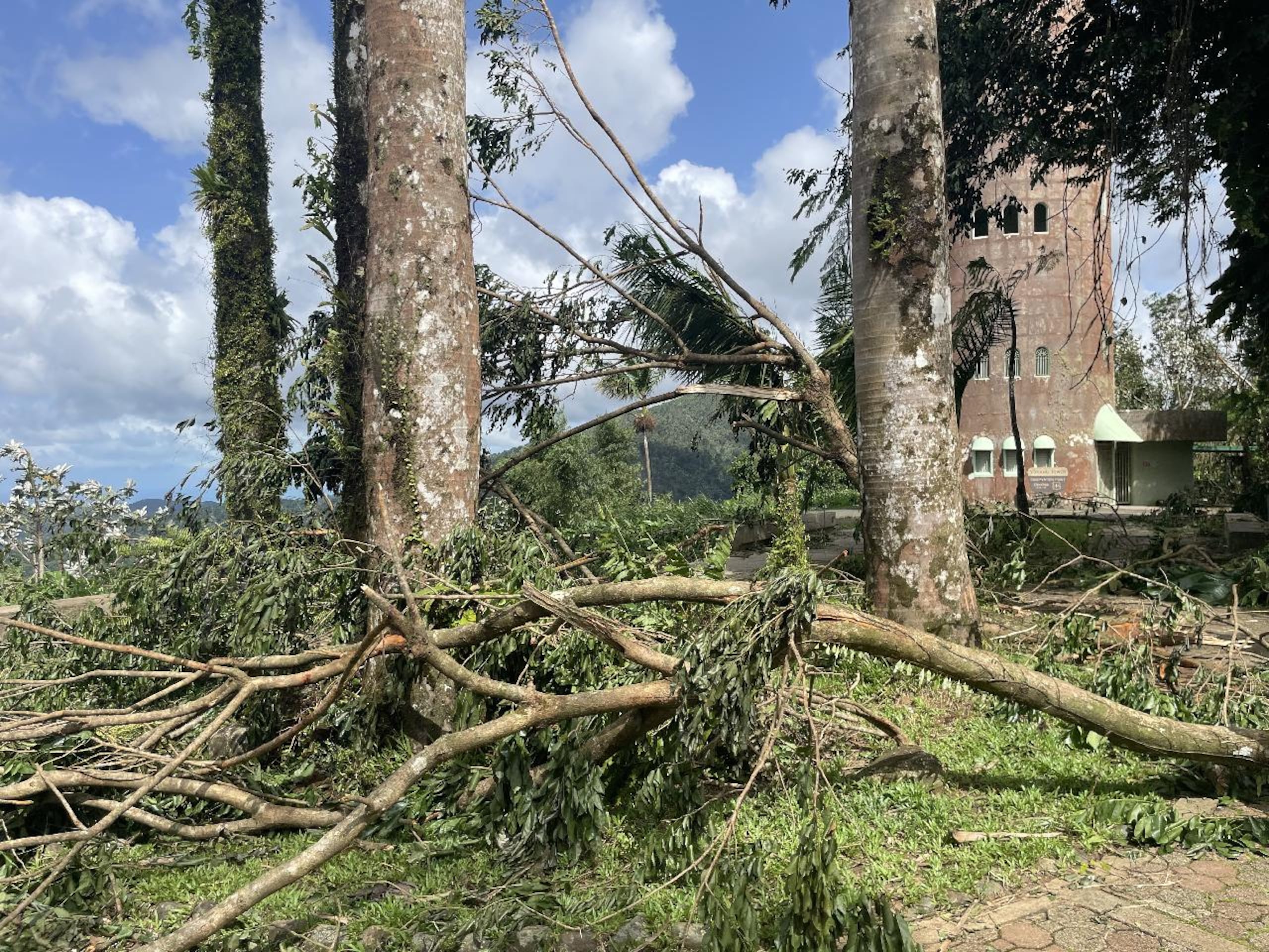 El Yunque anuncia reapertura parcial tras impacto de la tormenta tropical Ernesto.