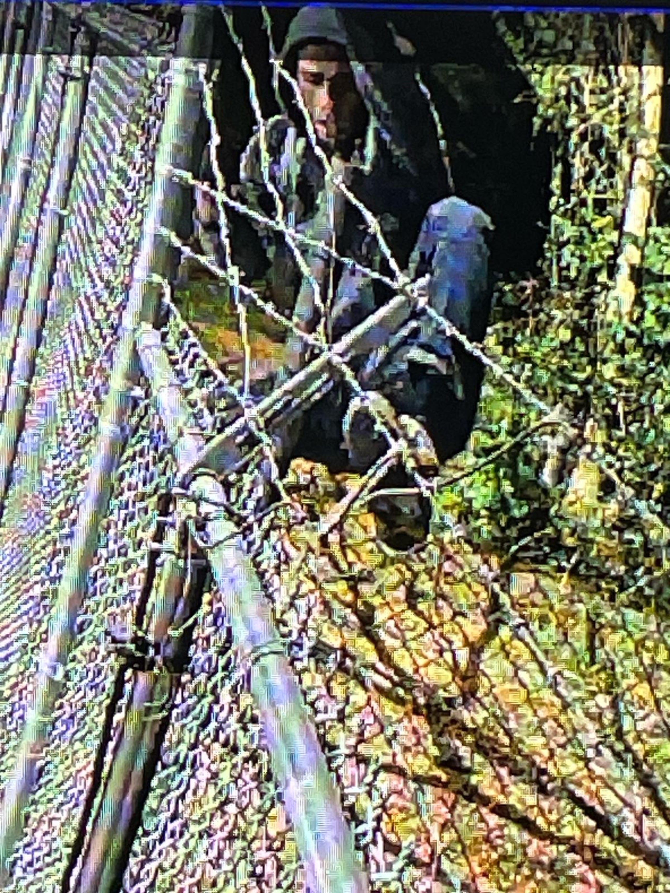 Las autoridades buscan al sospechoso de escalar la subestación de la compañía LUMA Energy del barrio Factor, en Arecibo, el 19 de febrero.