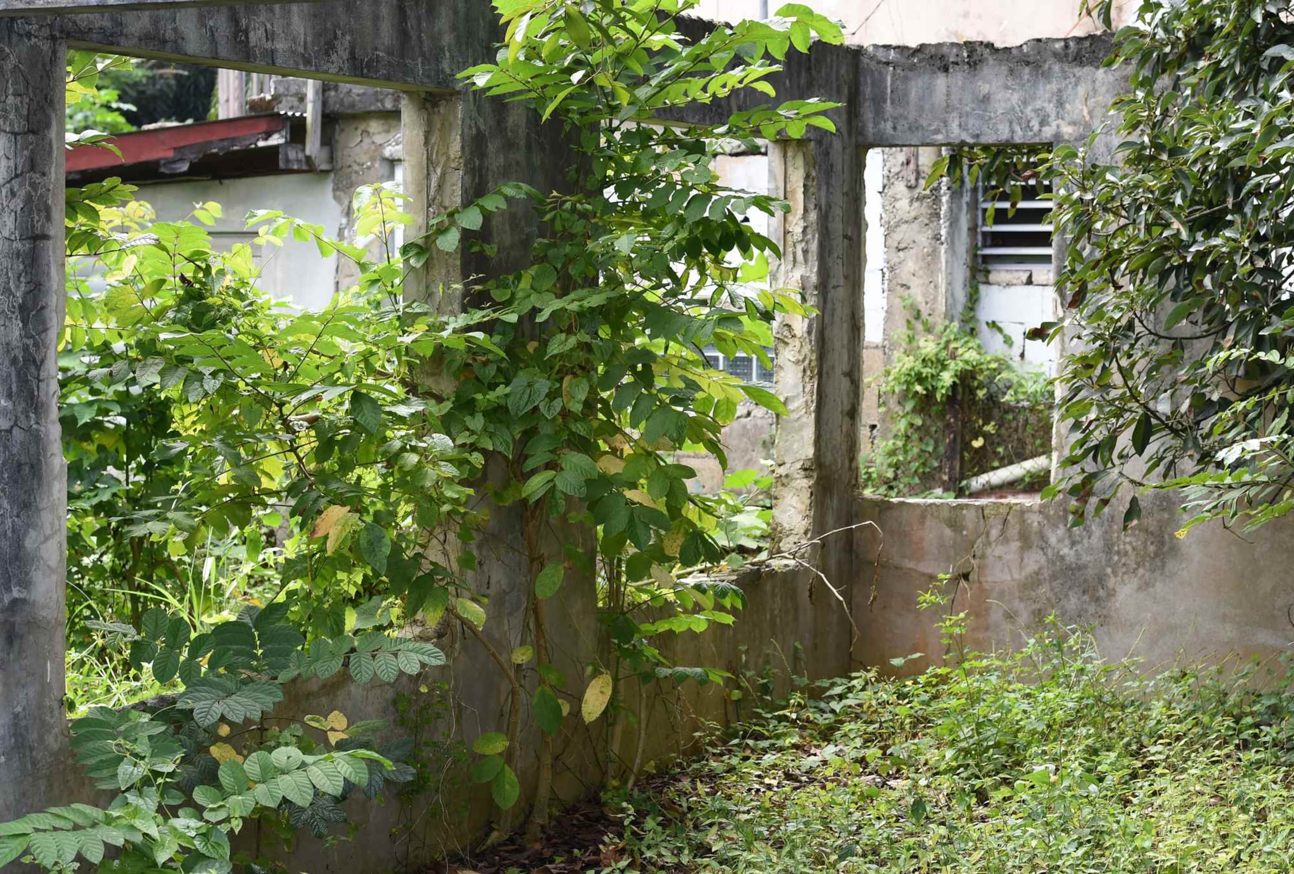 El mal de las casas abandonadas