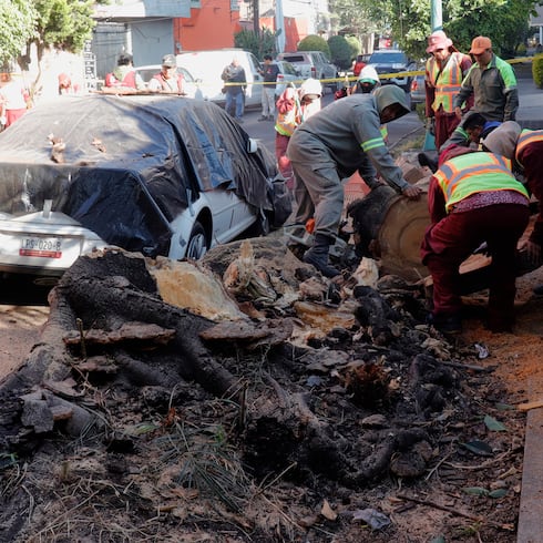 FOTOS: Terremoto crea pánico en las calles de México