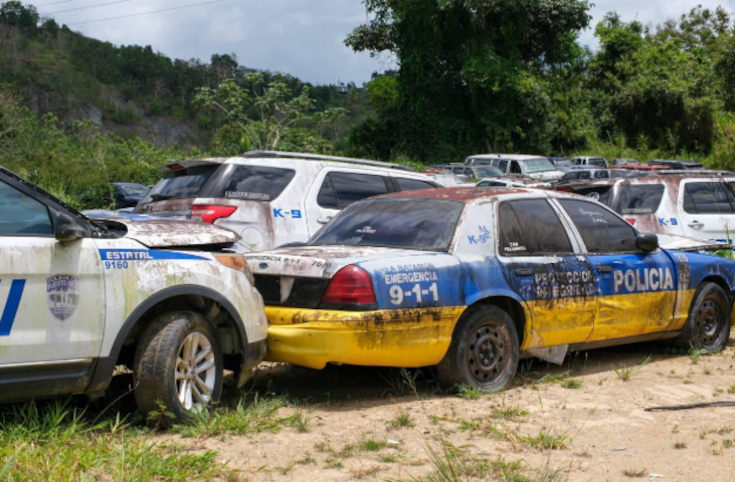 Con la iniciativa se identificaron varios solares alrededor de la isla que ahora sirven como centros de acopio y decomiso para vehículos abandonados.
