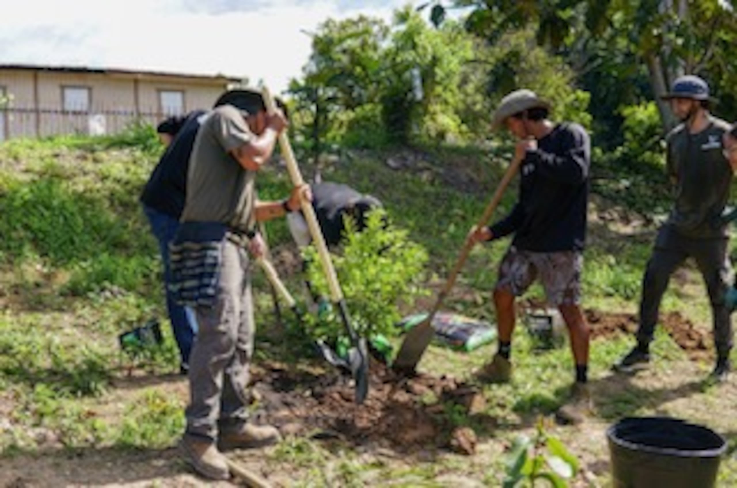 En el evento, que marcó el inicio de la celebración del Mes del Planeta Tierra, se sembraron unos 40 árboles frutales, que se suman a un centenar cultivados previamente por voluntarios de Happy Givers.