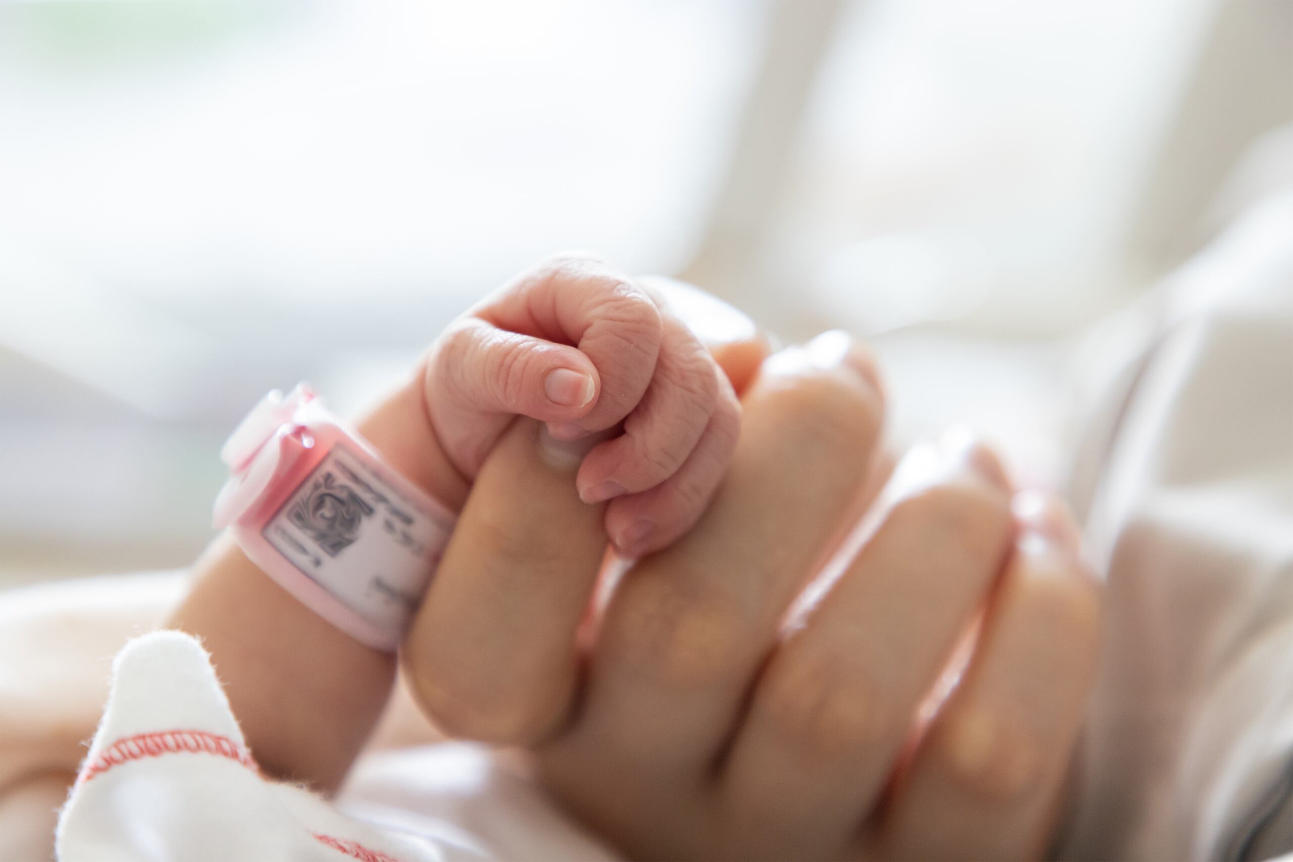 Un estudio anual de SmartAsset reveló que el costo de criar a un niño en las principales áreas metropolitanas de Estados Unidos varía drásticamente, en algunos casos llegó a duplicarse entre ciudades.