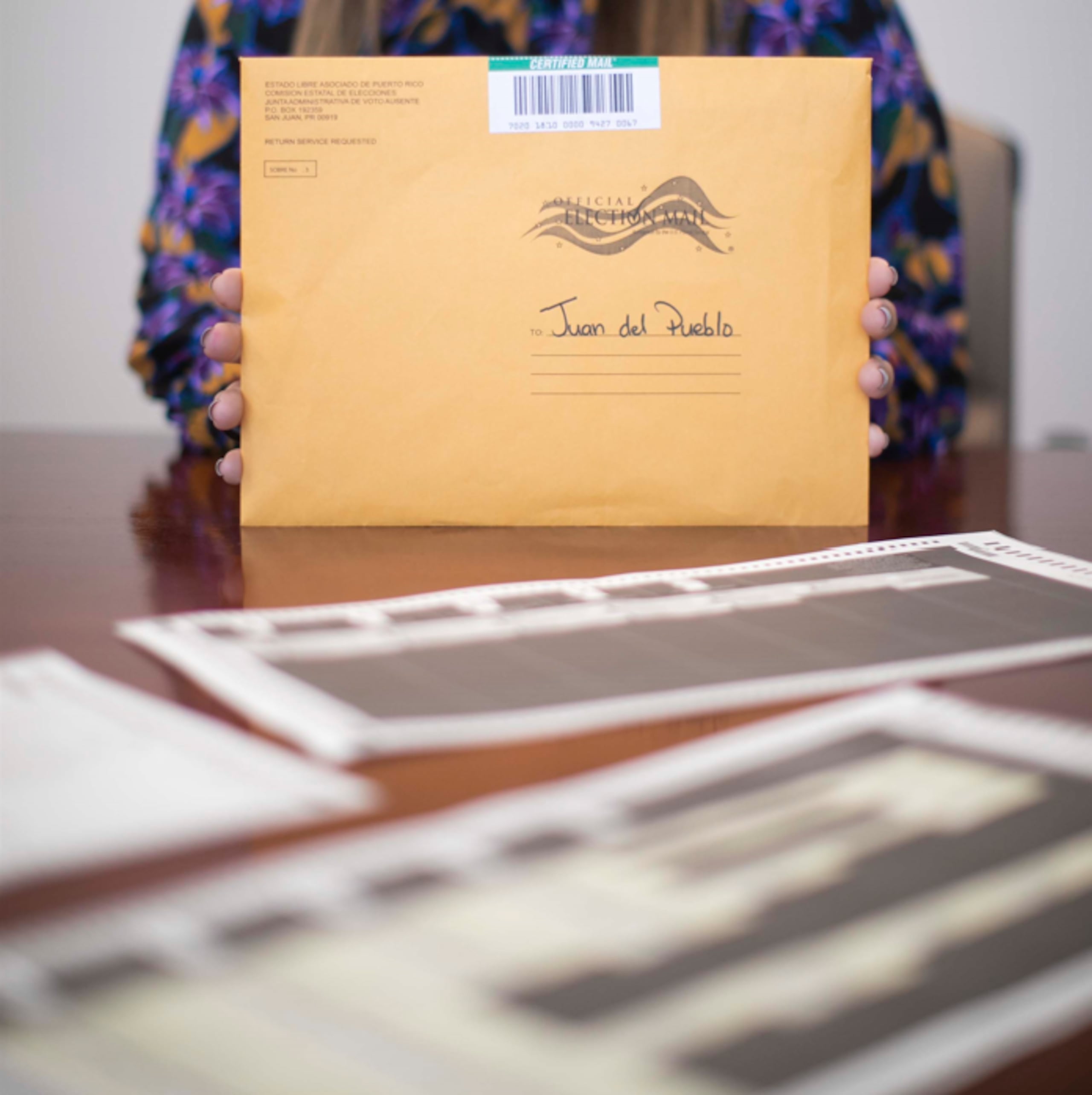 Según detalló la comisionada del Partido Popular Democrático, Karla Angleró, a Primera Hora, al menos los oficiales del Servicio Postal denunciaron dos incidencias que están bajo investigación por inspectores de la agencia federal.