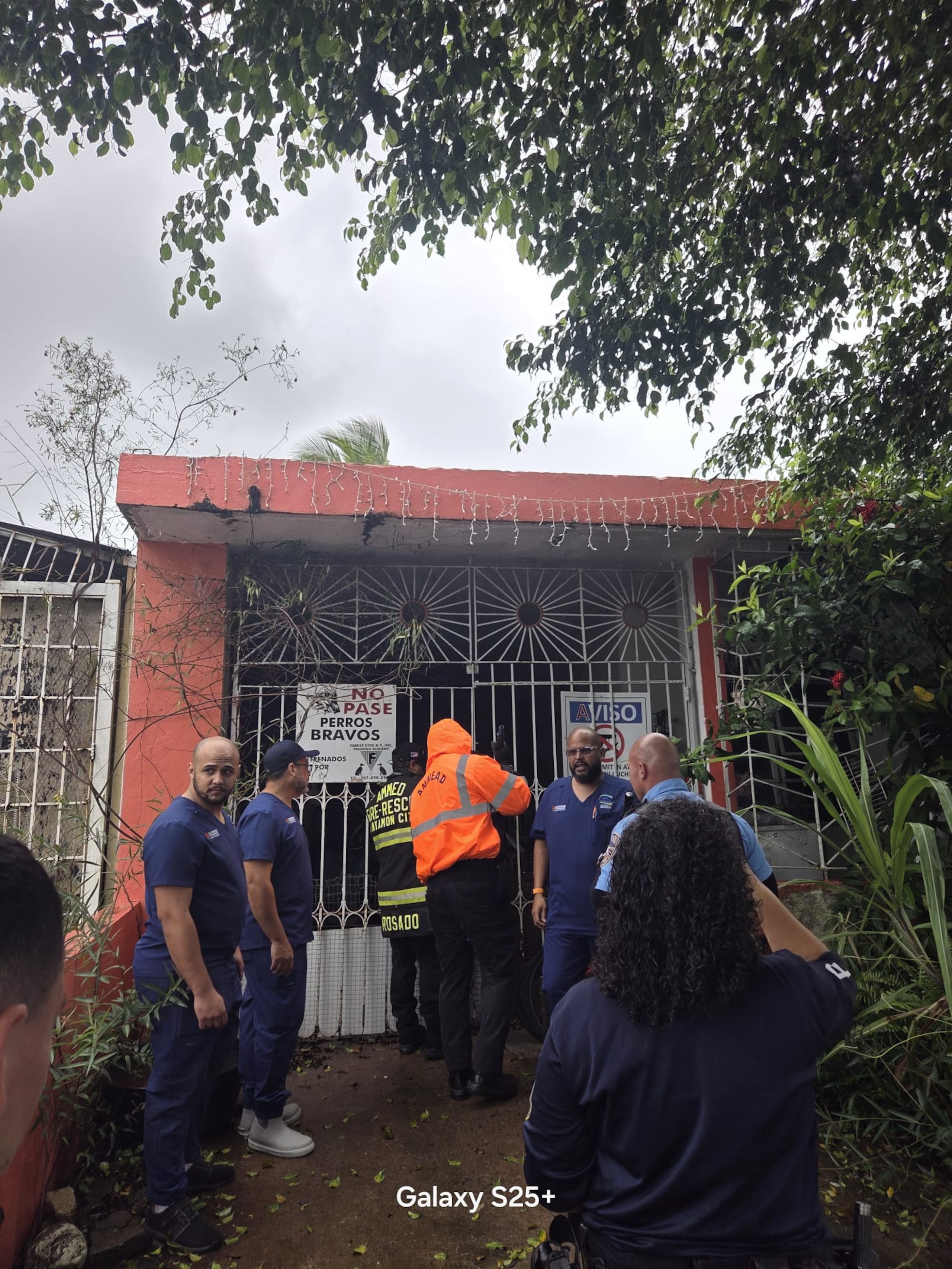 Policías de Bayamón sur rescataron a16 perros encadenados y desnutridos de una residencia deshabitada en urbanización Santa Juanita en Bayamón.