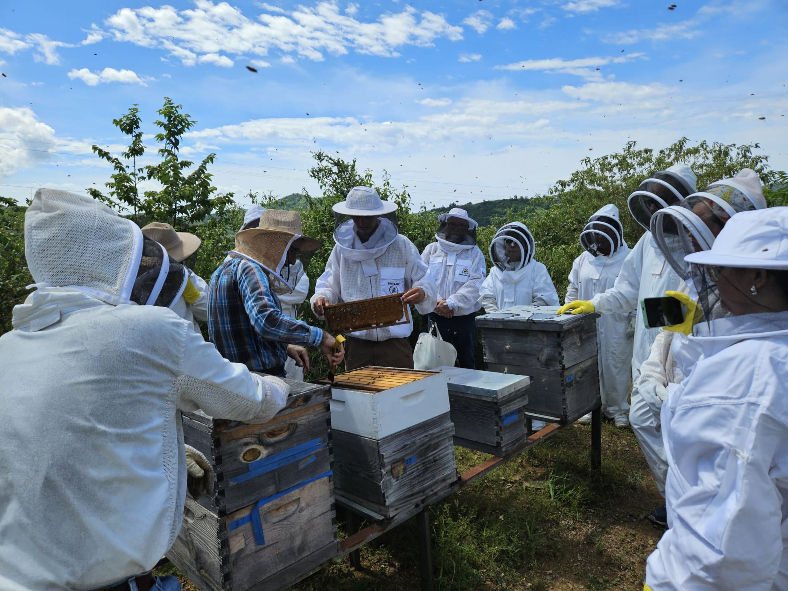 Agricultores impulsan sus fincas con exitosos proyectos de agroturismo