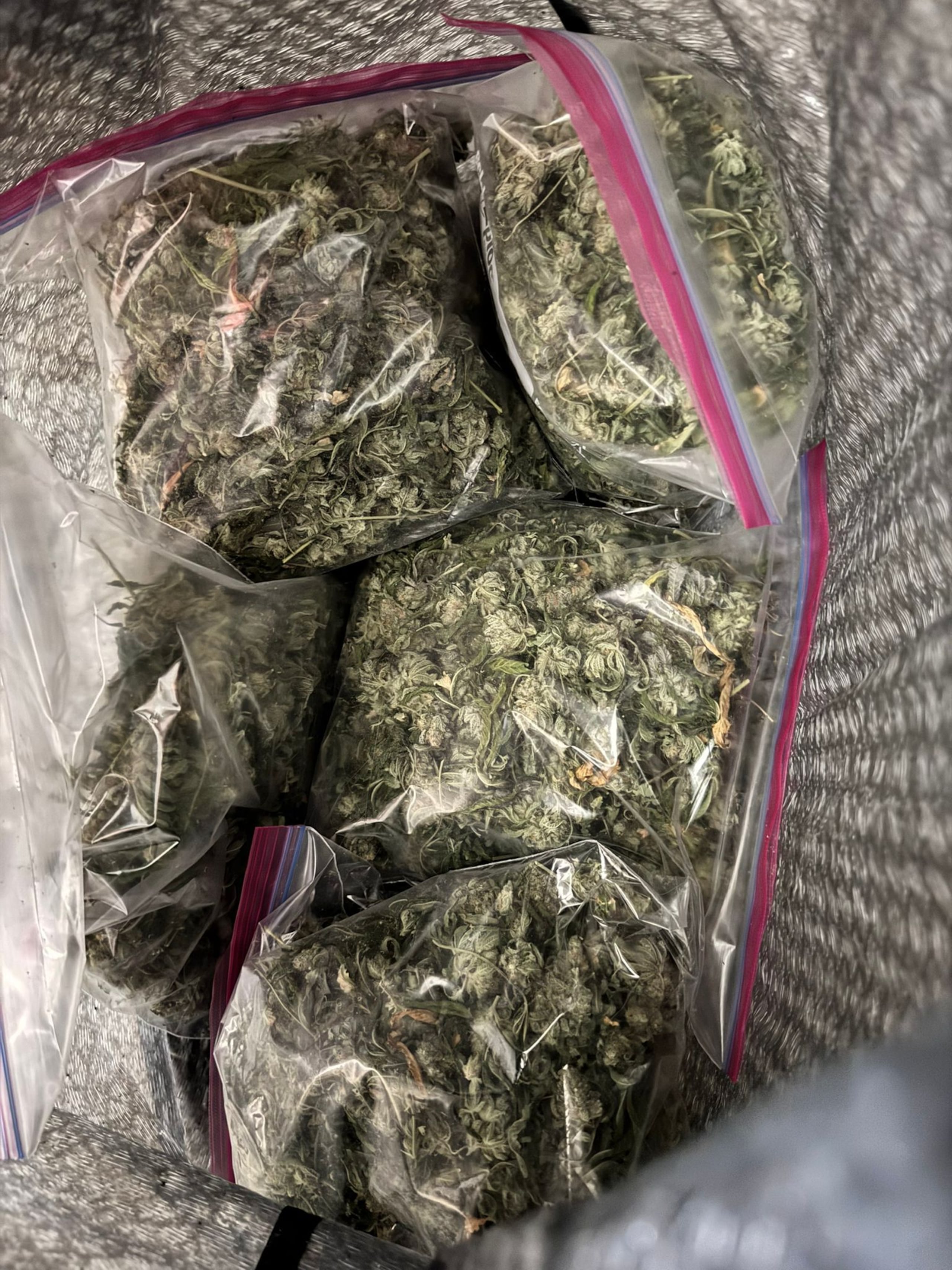 Bolsas de marihuana ocupadas en una residencia de la urbanización Arbolada, en Caguas, donde los agentes de la División de Drogas encontraron un invernadero.