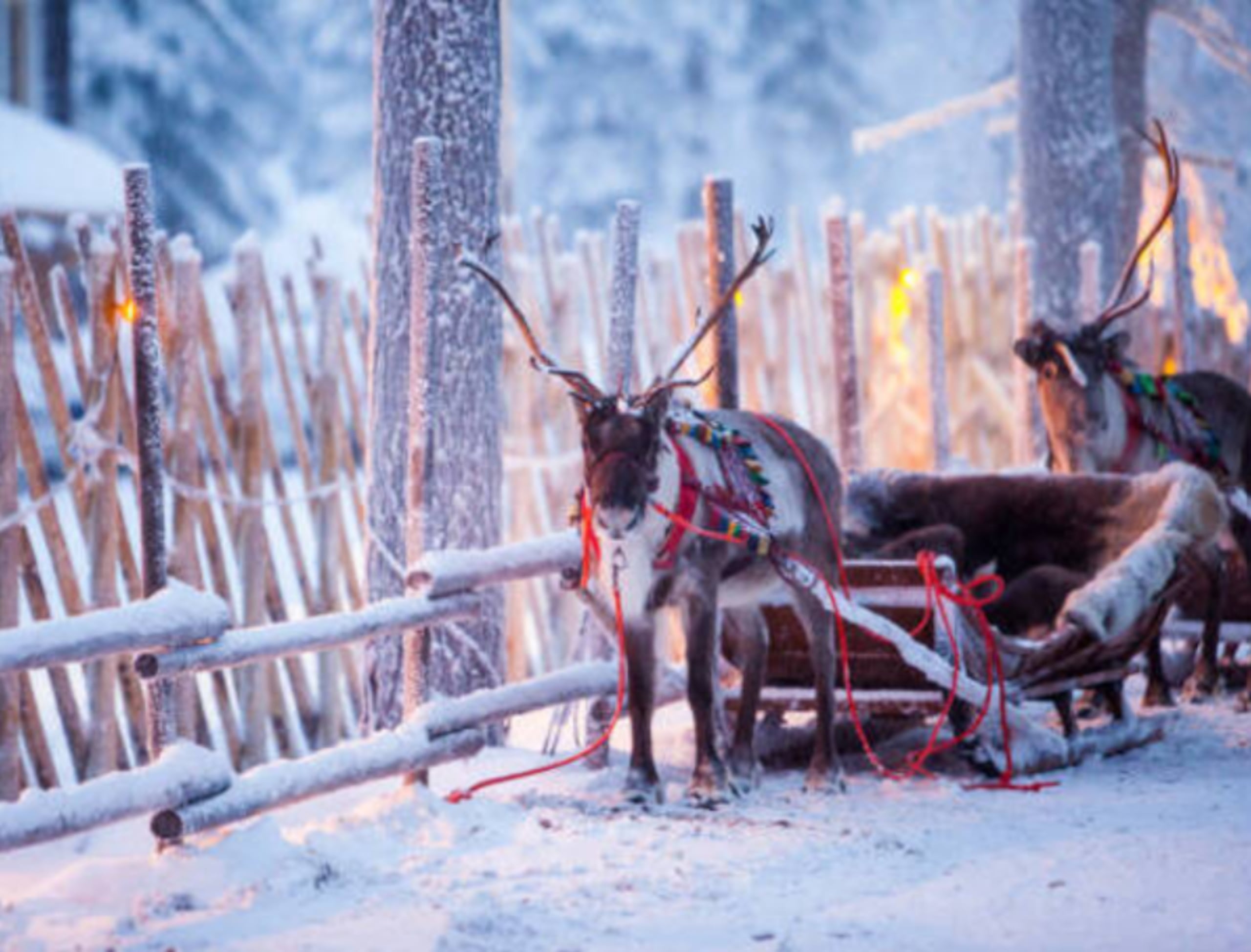 Los habitantes han construido parte de su proyección internacional alrededor de la figura de Papá Noel.