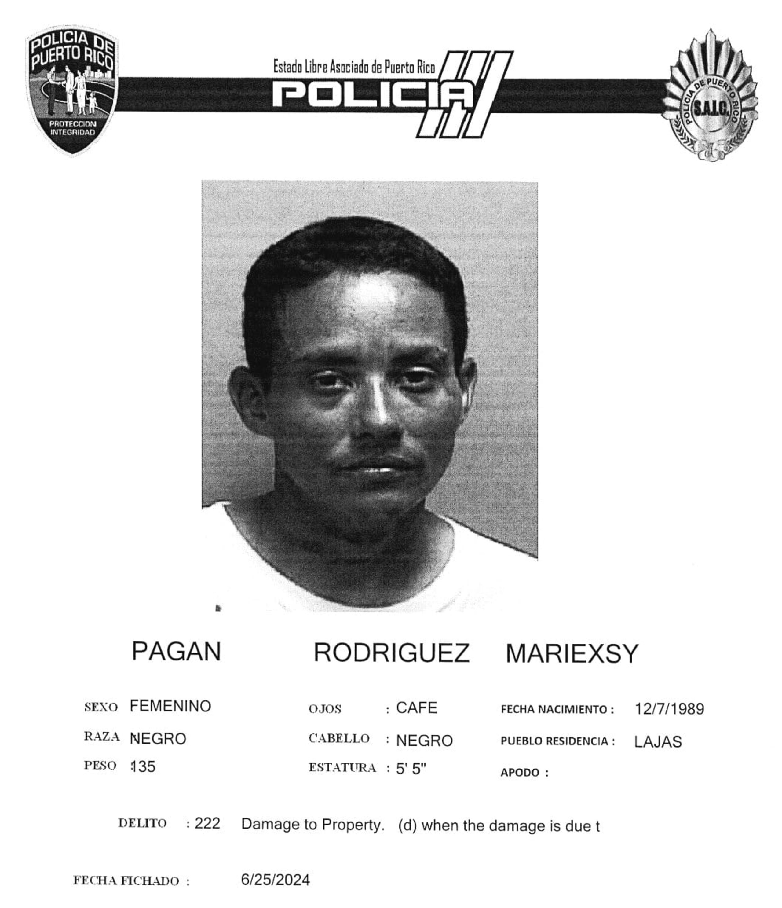 Mariexsy Pagán Rodríguez enfrenta cargos por apropiación Ilegal de un vehículo, daños a la propiedad del gobierno y daños a un vehículo hurtado.