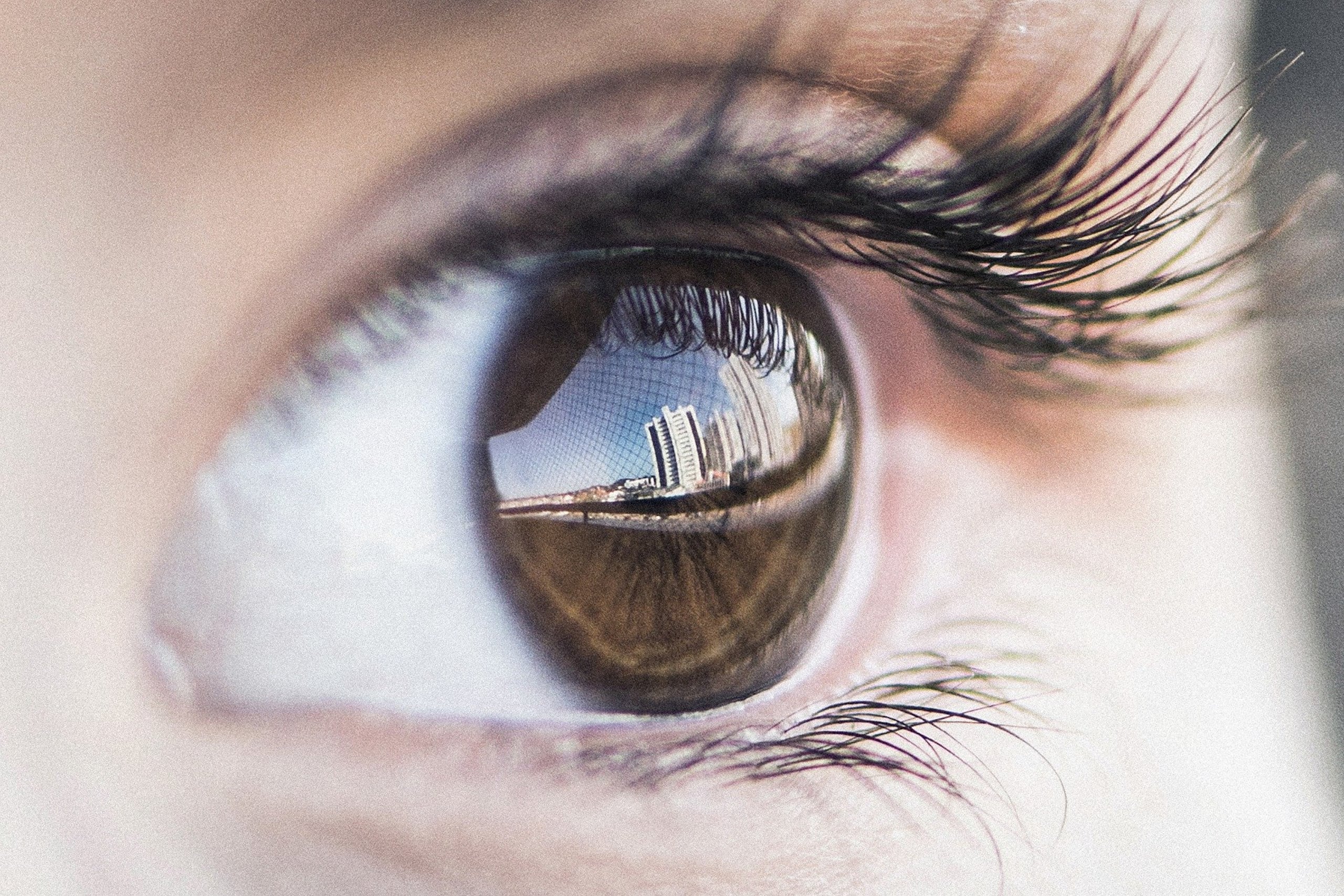 El glaucoma se produce por un aumento de la presión ocular, que daña el nervio óptico. (LhcCoutinho / Pixabay)