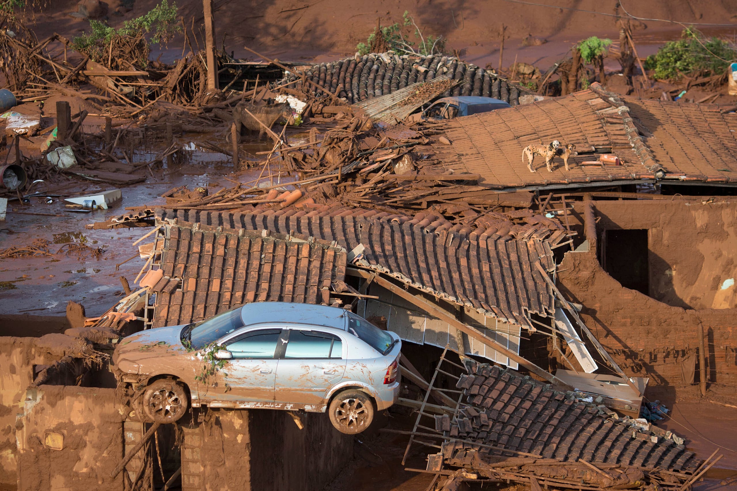 Un auto y dos perros en el tejado de una vivienda destruida en el pequeño poblado de Bento Rodrigues, tras el derrumbe de una represa en el estado de Minas Gerais, Brasil, el 6 de noviembre de 2015.