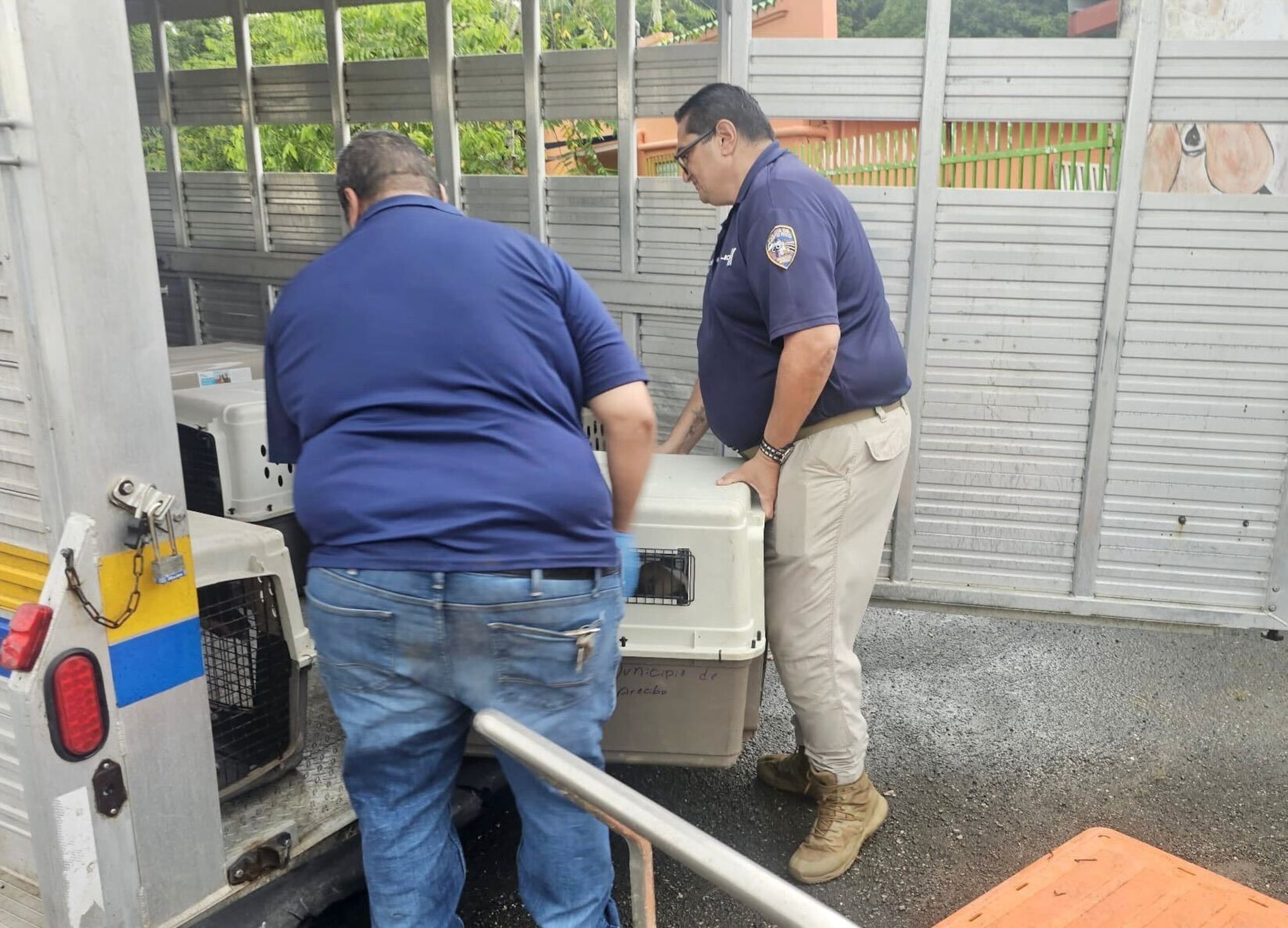 Agentes de la Policía remueven animales del albergue de Arecibo.