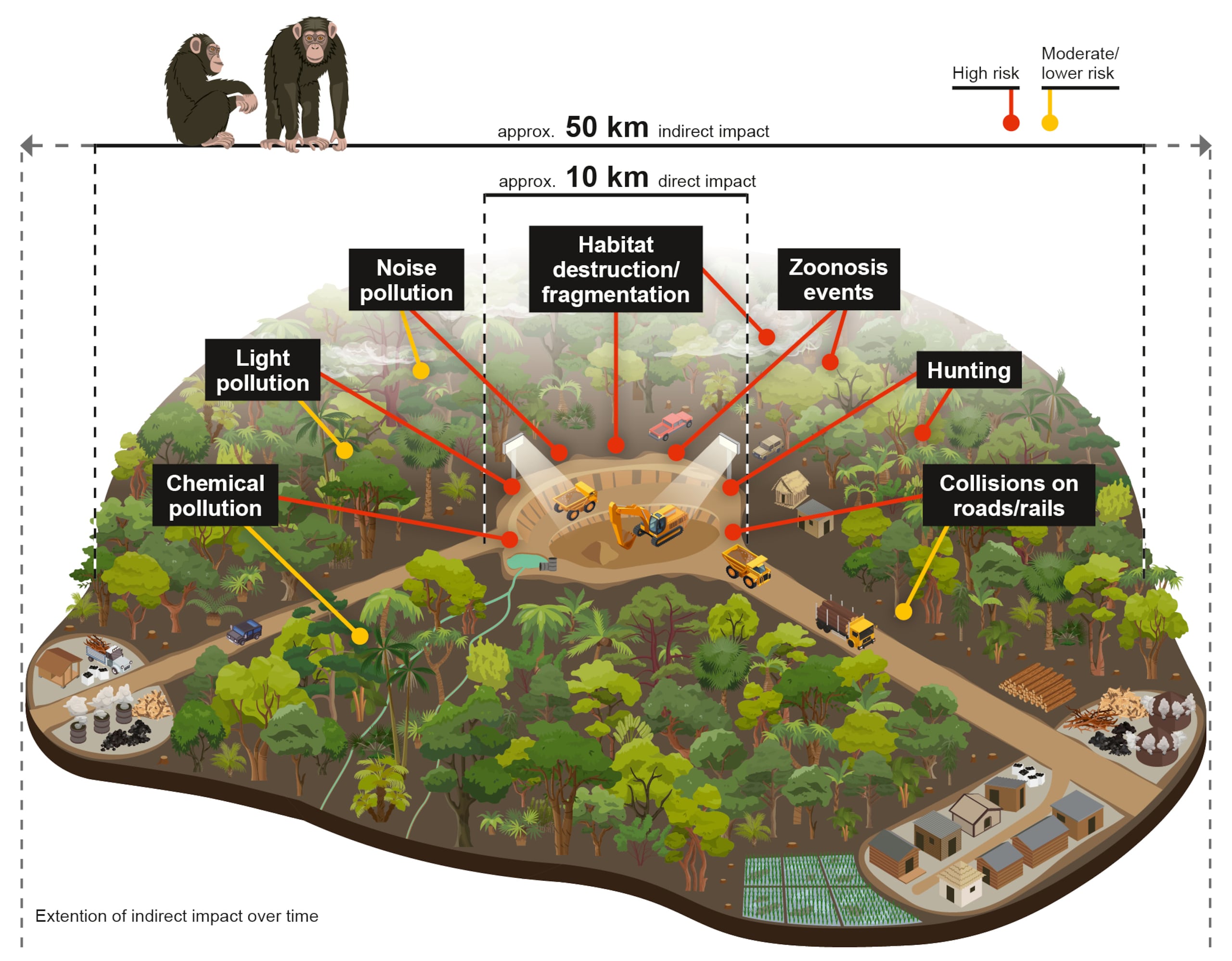 Gráfico de los impactos directos e indirectos de la minería en los grandes simios de África. (Gabriele Rada/Centro Alemán de Investigación Integrativa de la Biodiversidad - iDiv)
