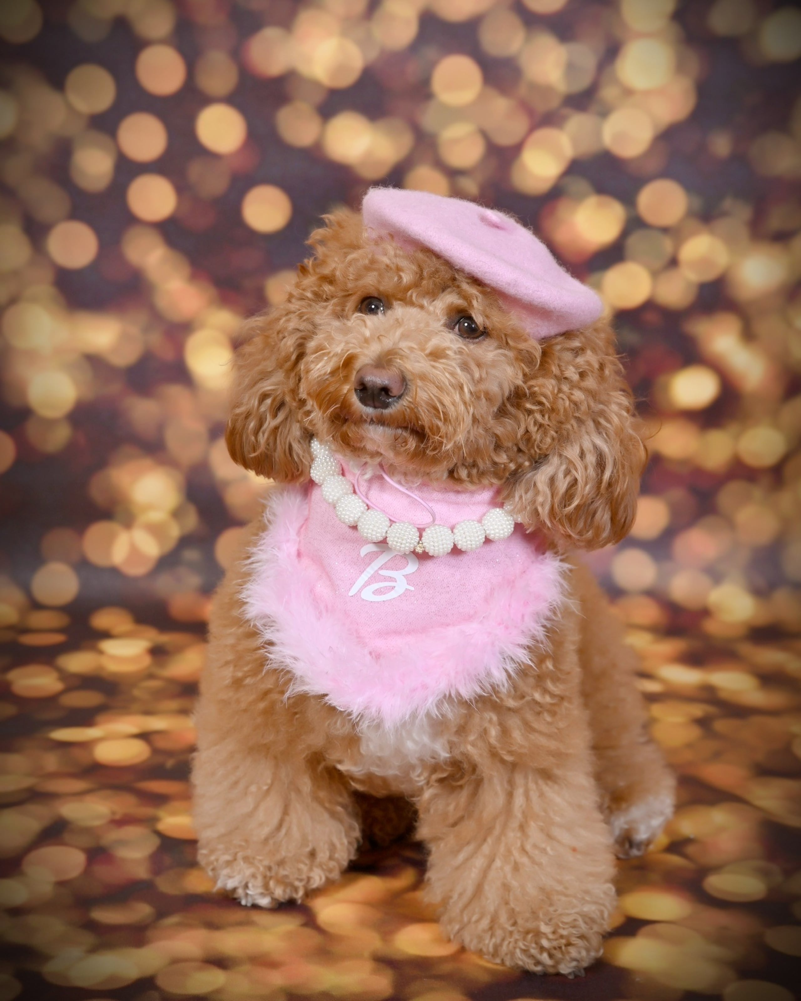 Miss Bali se convirtió en una sensación en las redes sociales con su adorable figura.