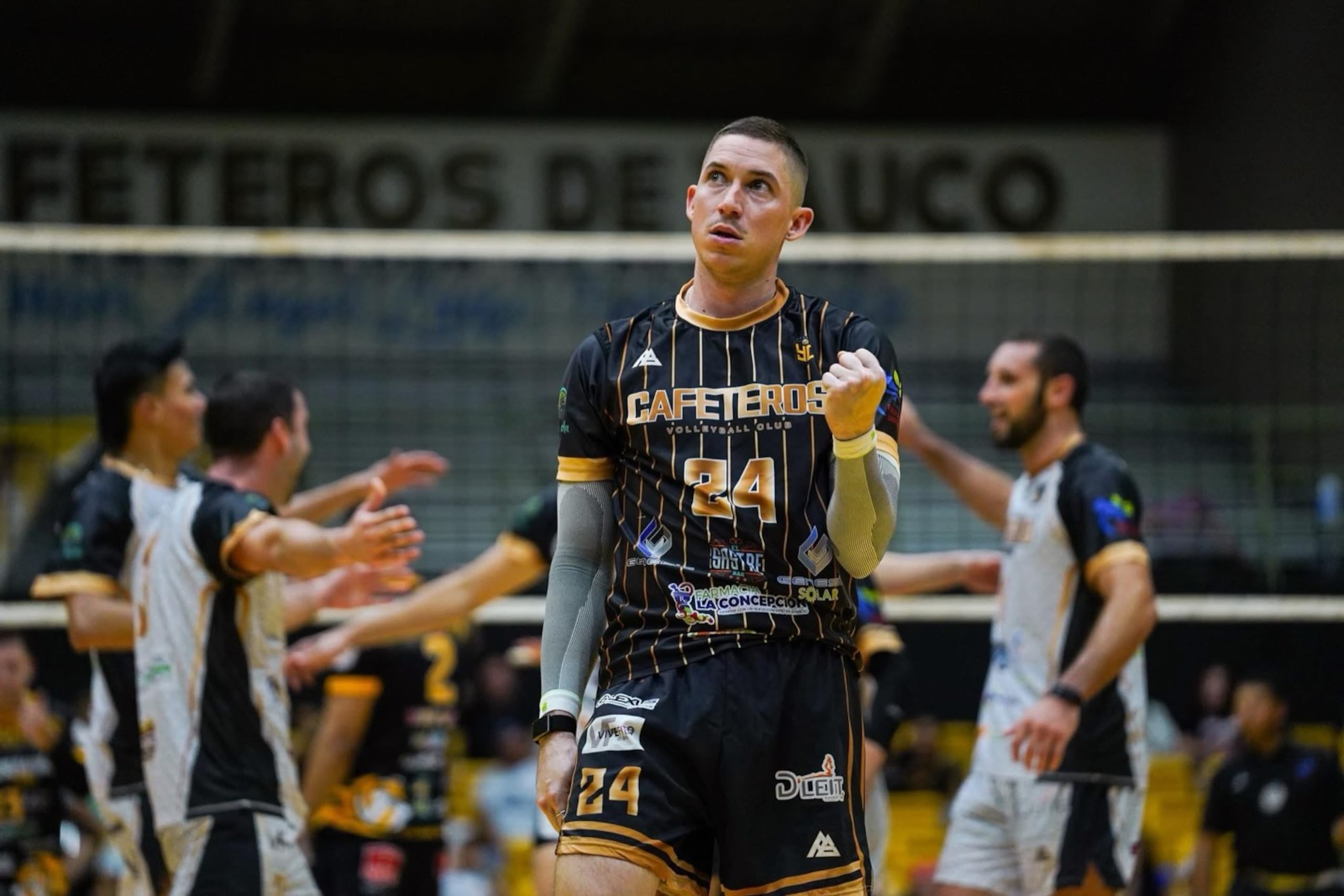 La última vez que los Cafeteros de Yauco estuvieron en una serie final del Voleibol Superior Masculino fue en el 1997.