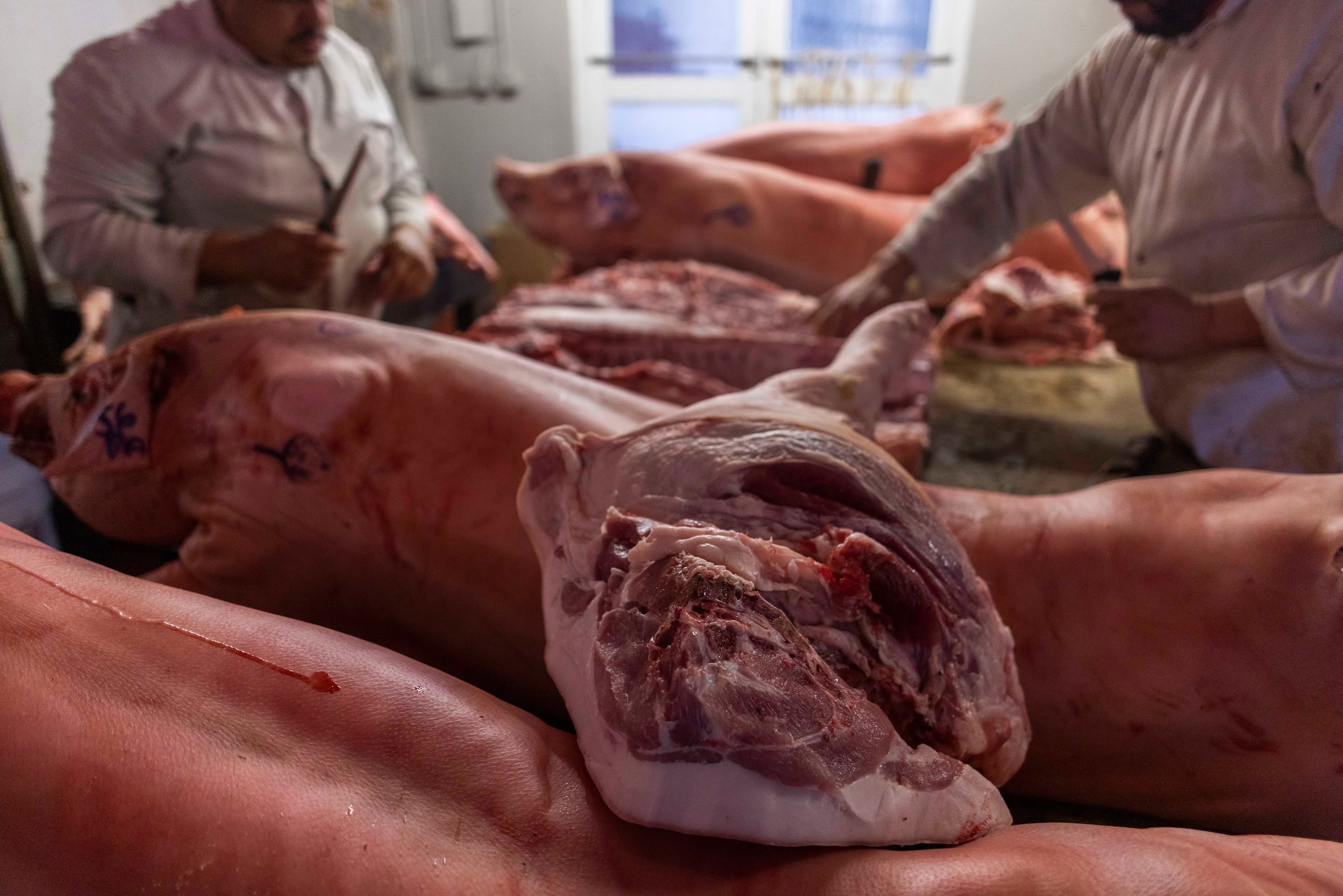 El equipo cree que unos niveles más altos de igualdad de género y desarrollo pueden proporcionar a las mujeres una mayor libertad para elegir comer carne con menos frecuencia y también pueden permitir a los hombres comprar y comer carne con más frecuencia.