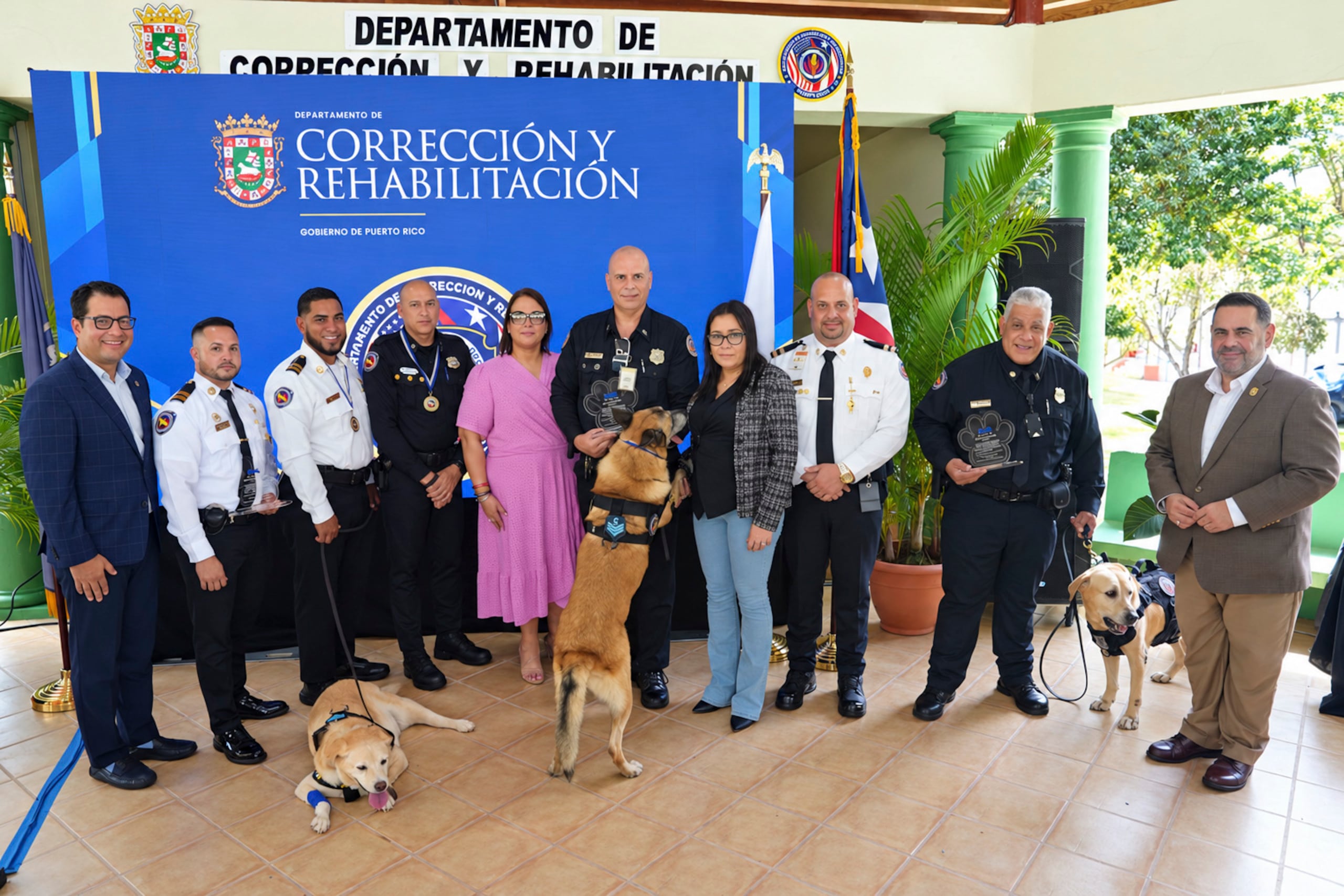 DCR retira del servicio a tres canes que contribuyeron a incautaciones millonarias y operativos contra el contrabando