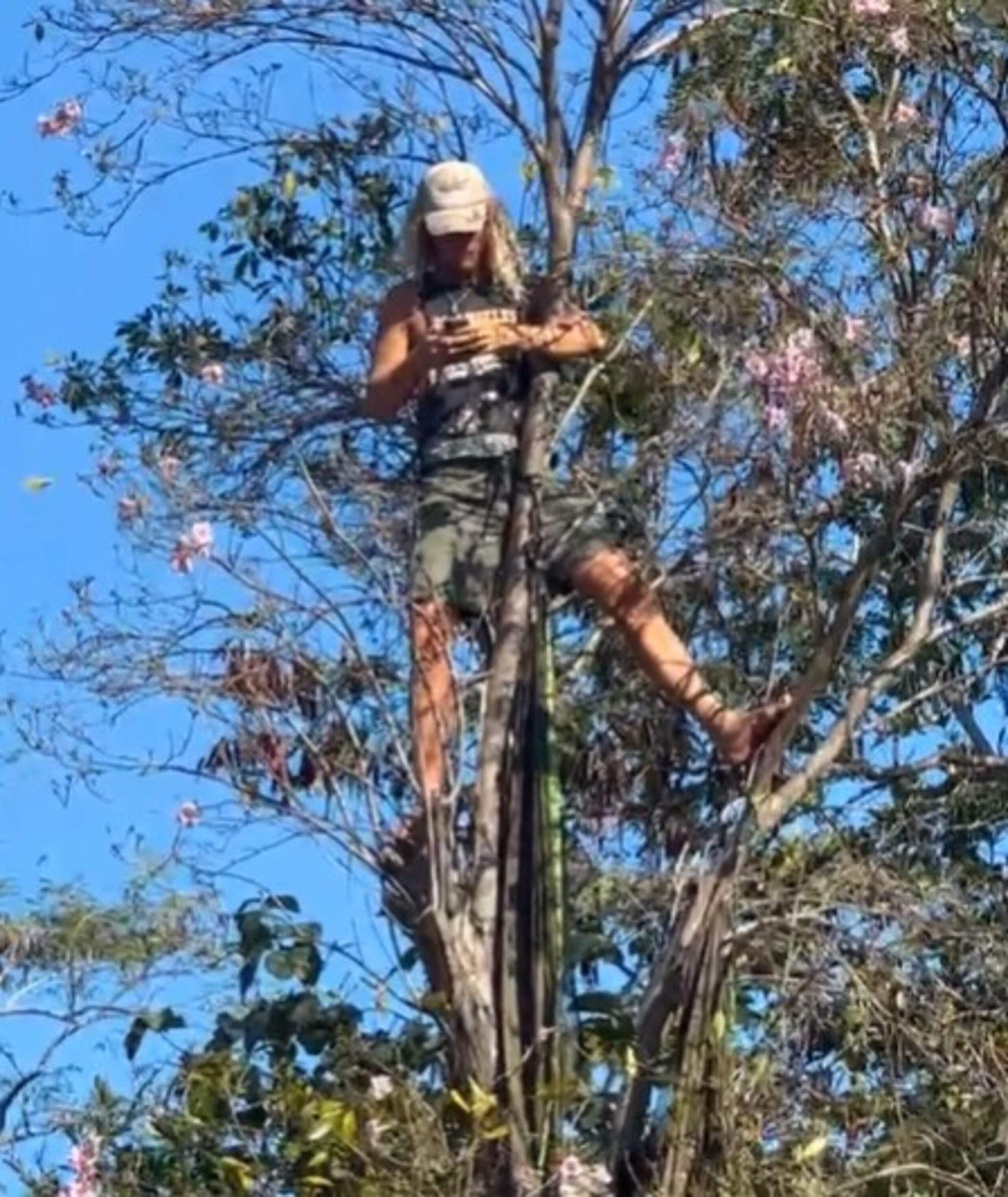 Otro de los presentes se subió a un árbol de roble.