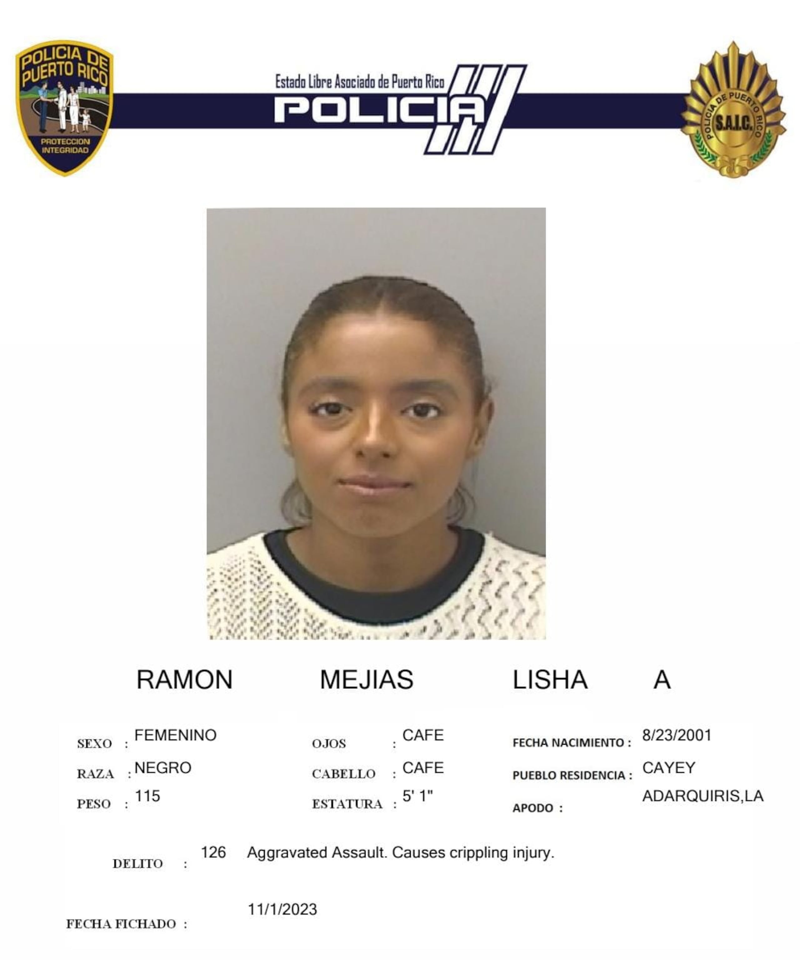 Lisha A. Ramón Mejías fue acusada por los delitos de agresión grave y violación a la Ley de Armas.