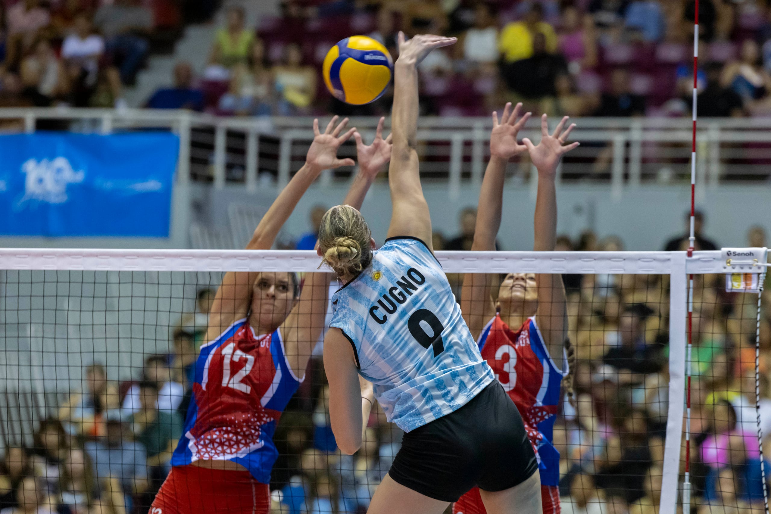 El seleccionado nacional, inmerso en un proceso de recambio, ha jugado en tres torneos este verano y en todos ha llegado a la final.