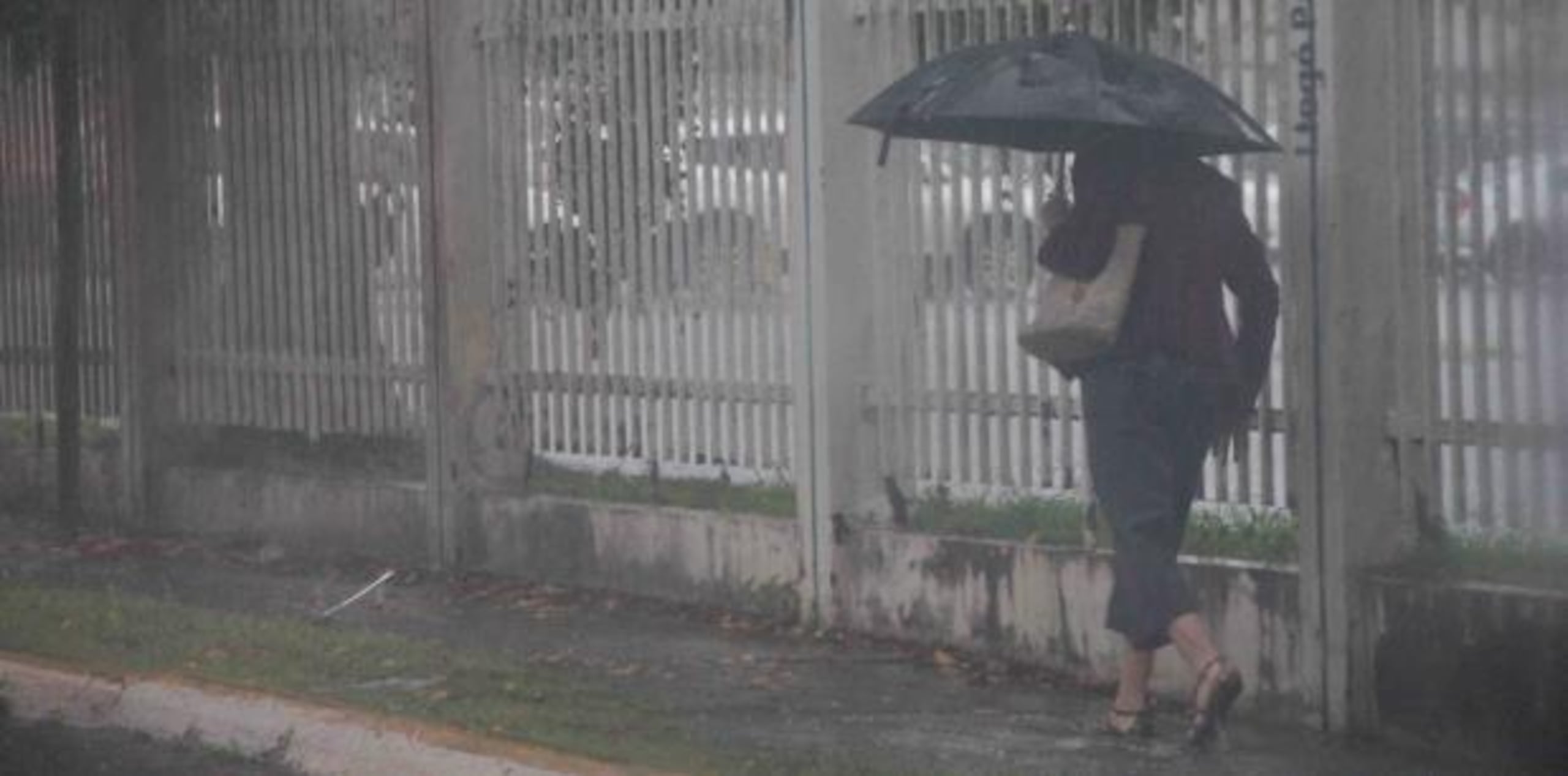 Estas fuertes lluvias “pueden provocar inundaciones urbanas y riachuelos, al igual que aumentos súbitos de ríos, deslizamientos y rayos", informó el meteorólogo Gabriel Lojero. (Archivo)