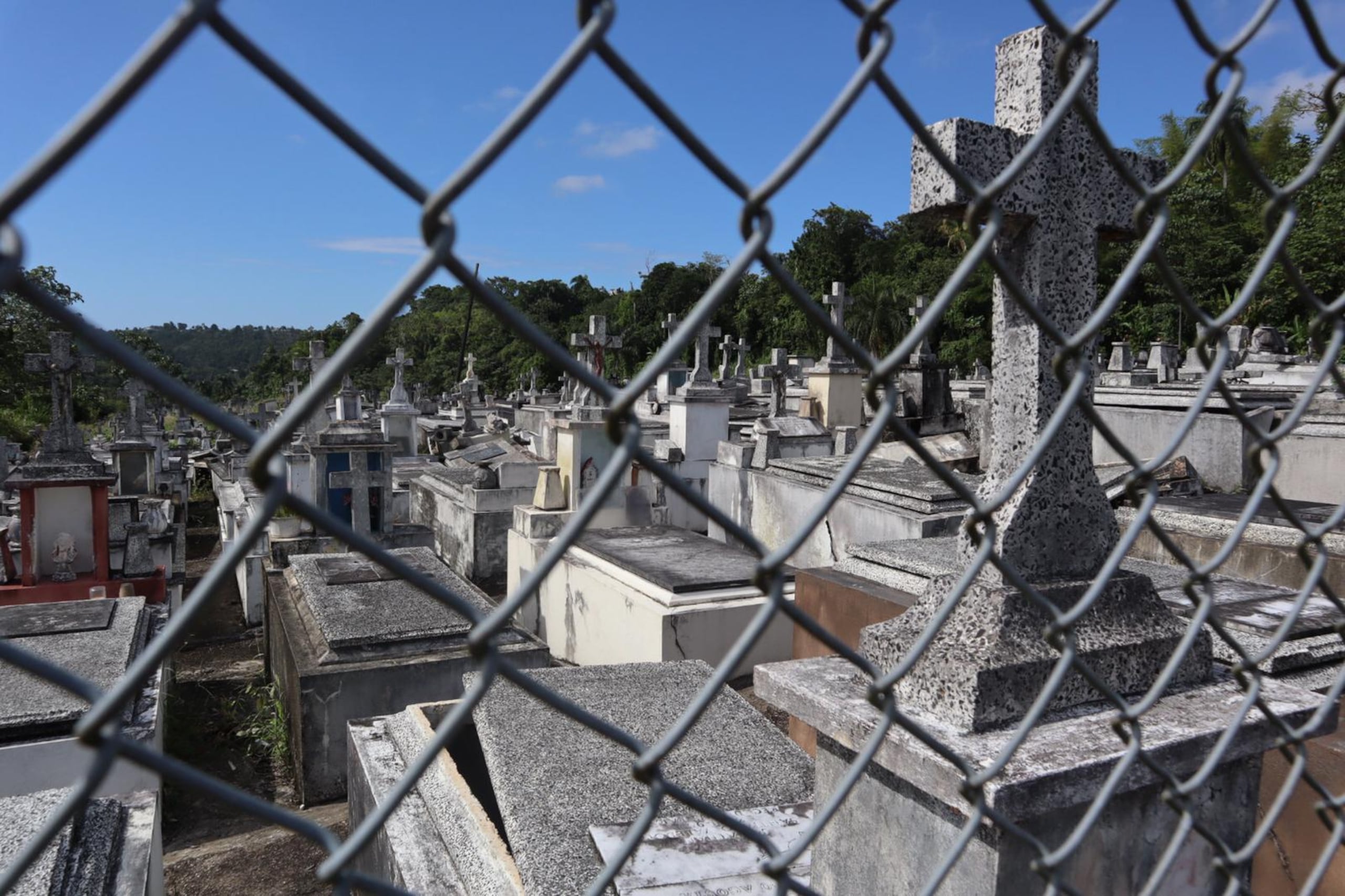 Alegadamente el sepulturero abandonó los cadáveres a las afueras del cementerio Cristo Salvador de la República Dominicana, para no pagar un impuesto de 1,400 pesos dominicanos (aproximadamente $24.50).