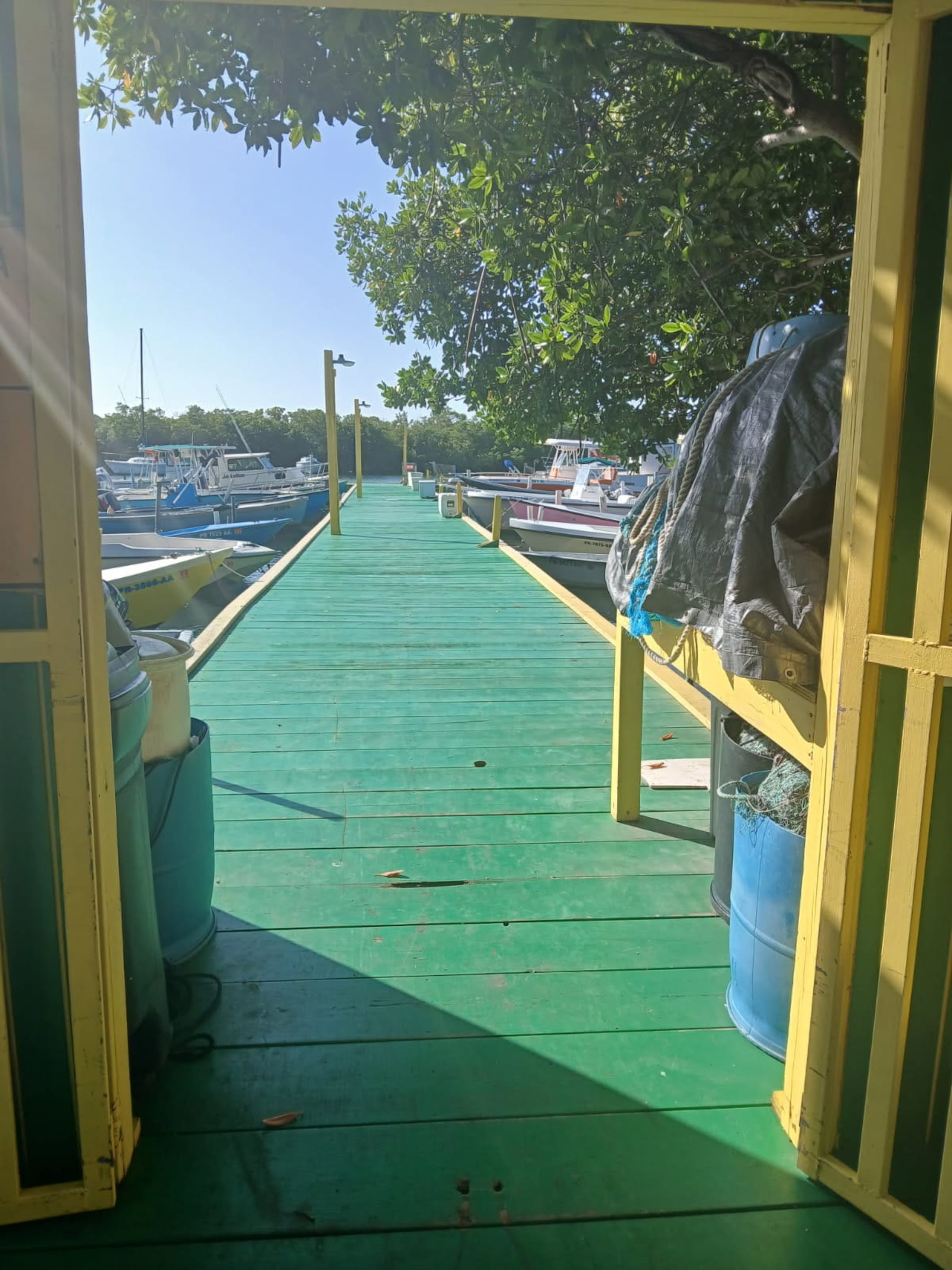 Los pescadores aseguran que la Villa Pesquera en Lajas está en condiciones para abrir.