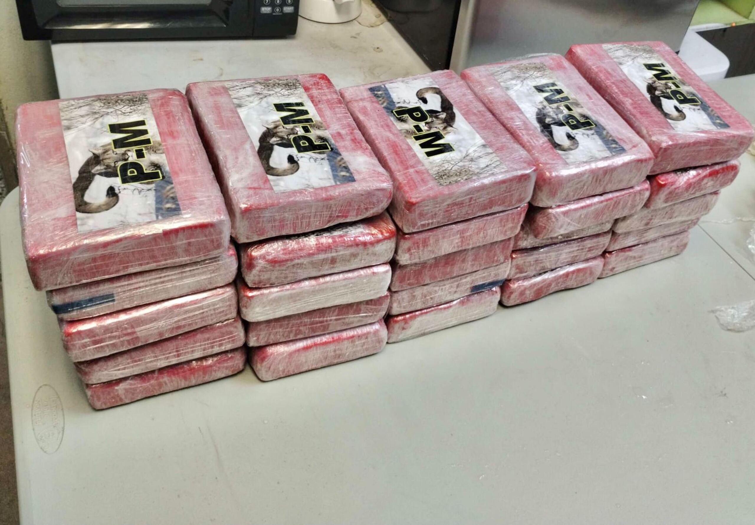 Policías del Distrito de Vieques ocuparon  25 bloques de cocaína a orillas de la playa Caracas de dicho municipio.