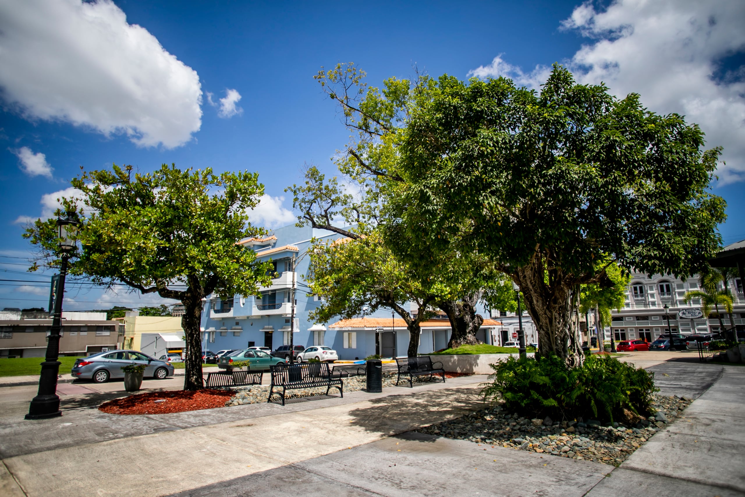 Se indicó que "el 88% de las órdenes de compra para servicios de mantenimiento de áreas verdes, no tenían la firma del director de finanzas".