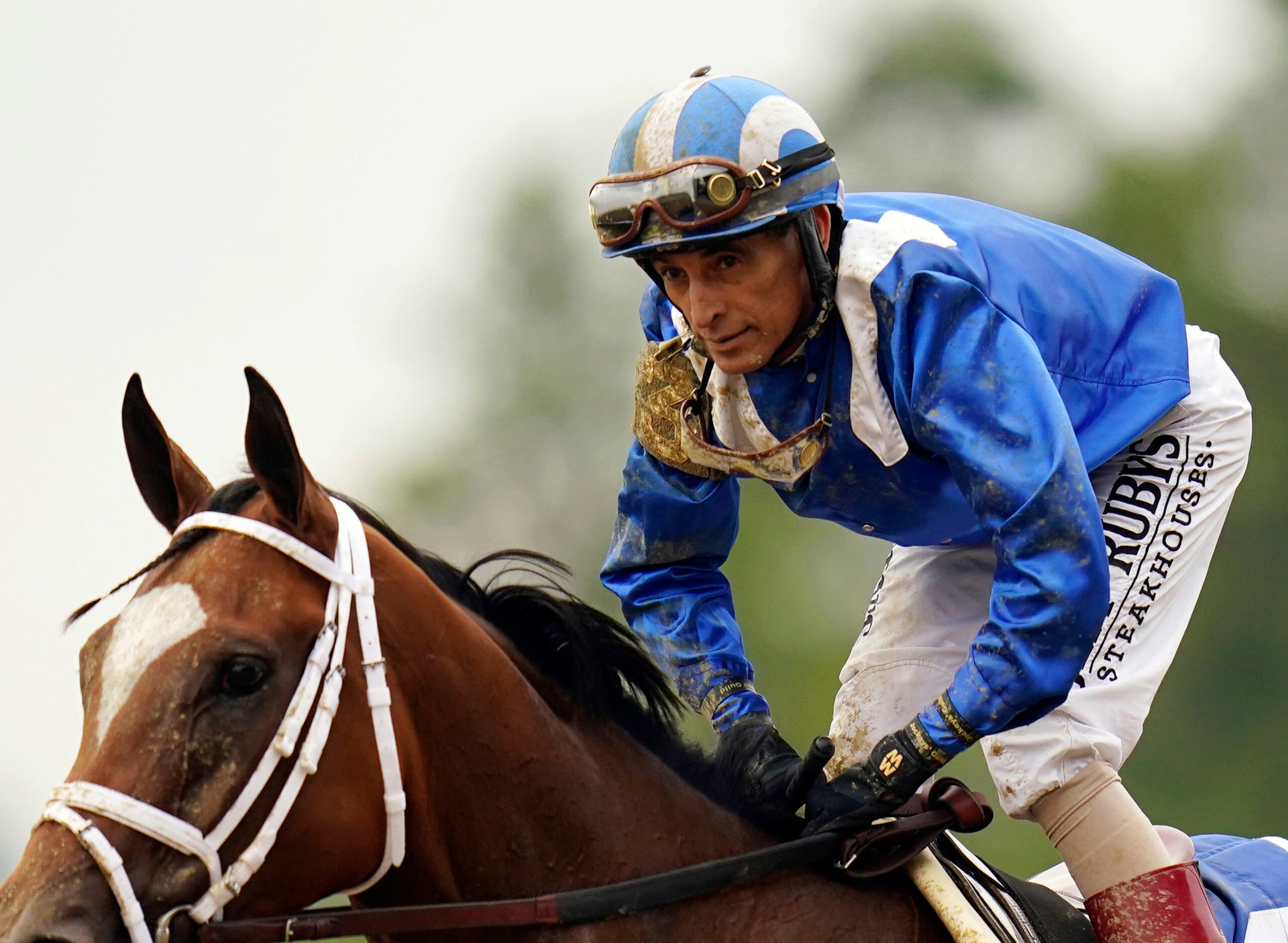 El jinete puertorriqueño John Velázquez fue desmontado este miércoles por un ejemplar que hacía su primera carrera.