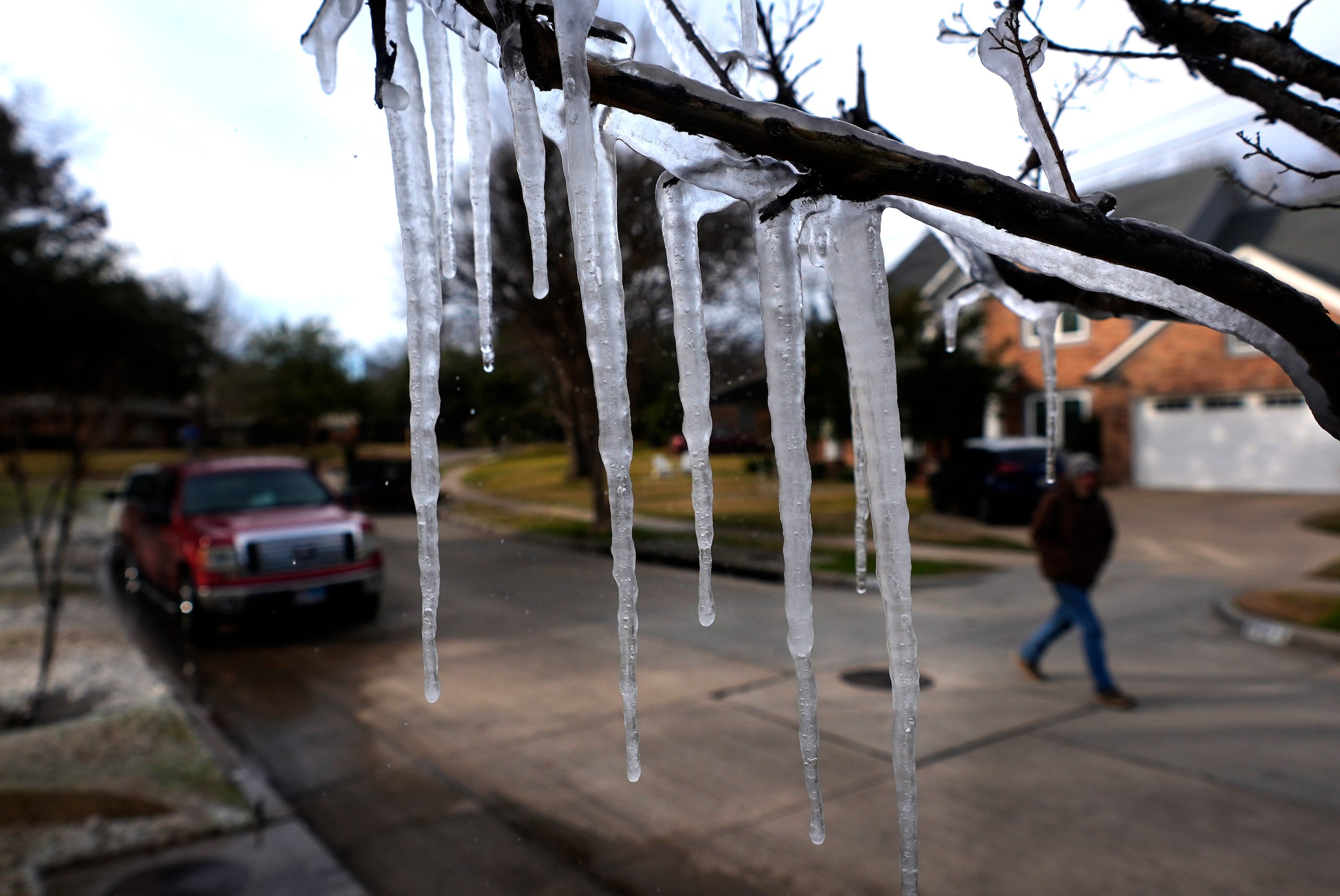 Las bajas temperaturas y un aspersor de jardín crean una capa de hielo sobre el césped antes de la llegada de una tormenta invernal al norte de Texas. (AP Foto/LM Otero)