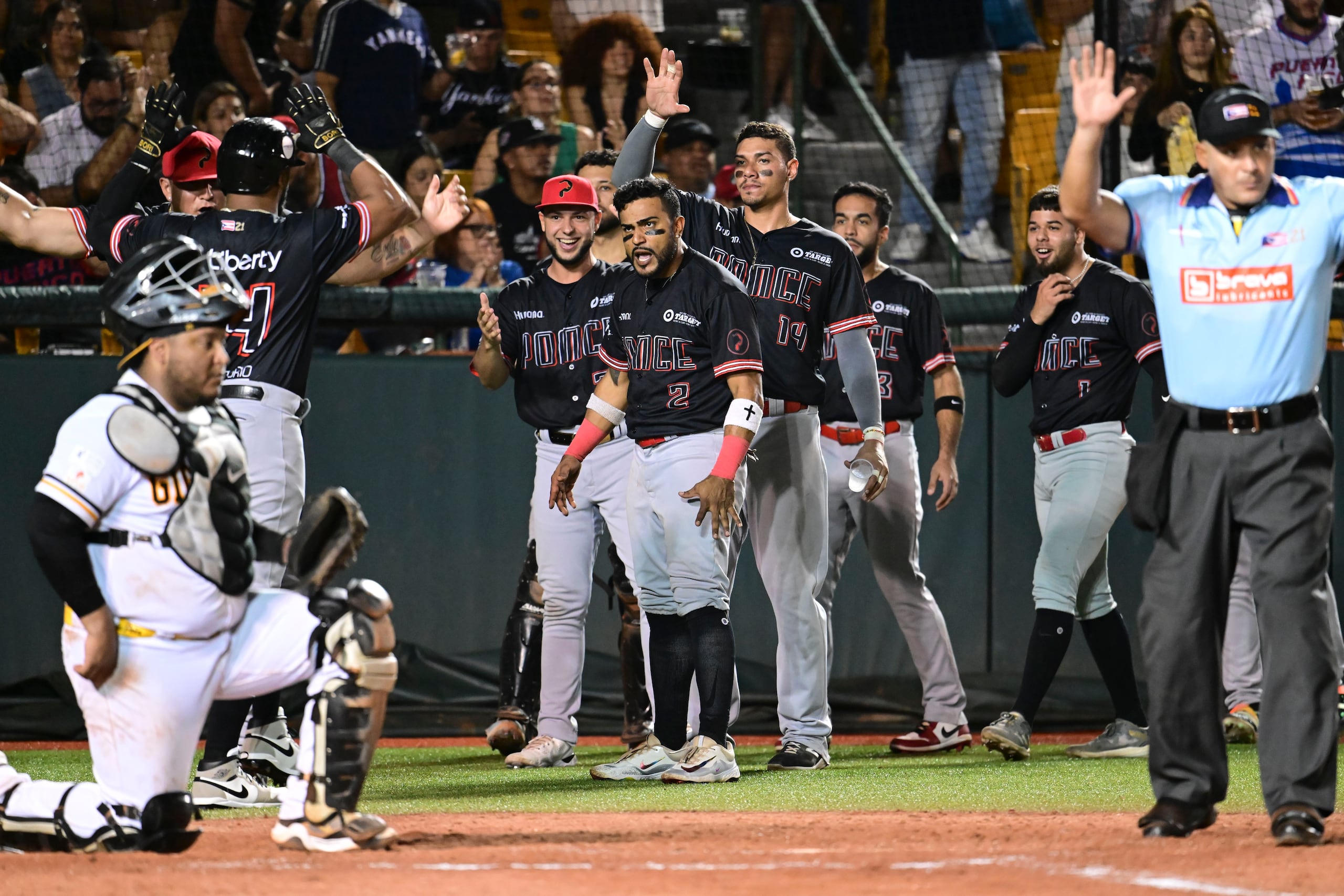 Los Leones festejan una carrera en el séptimo juego contra los Gigantes.