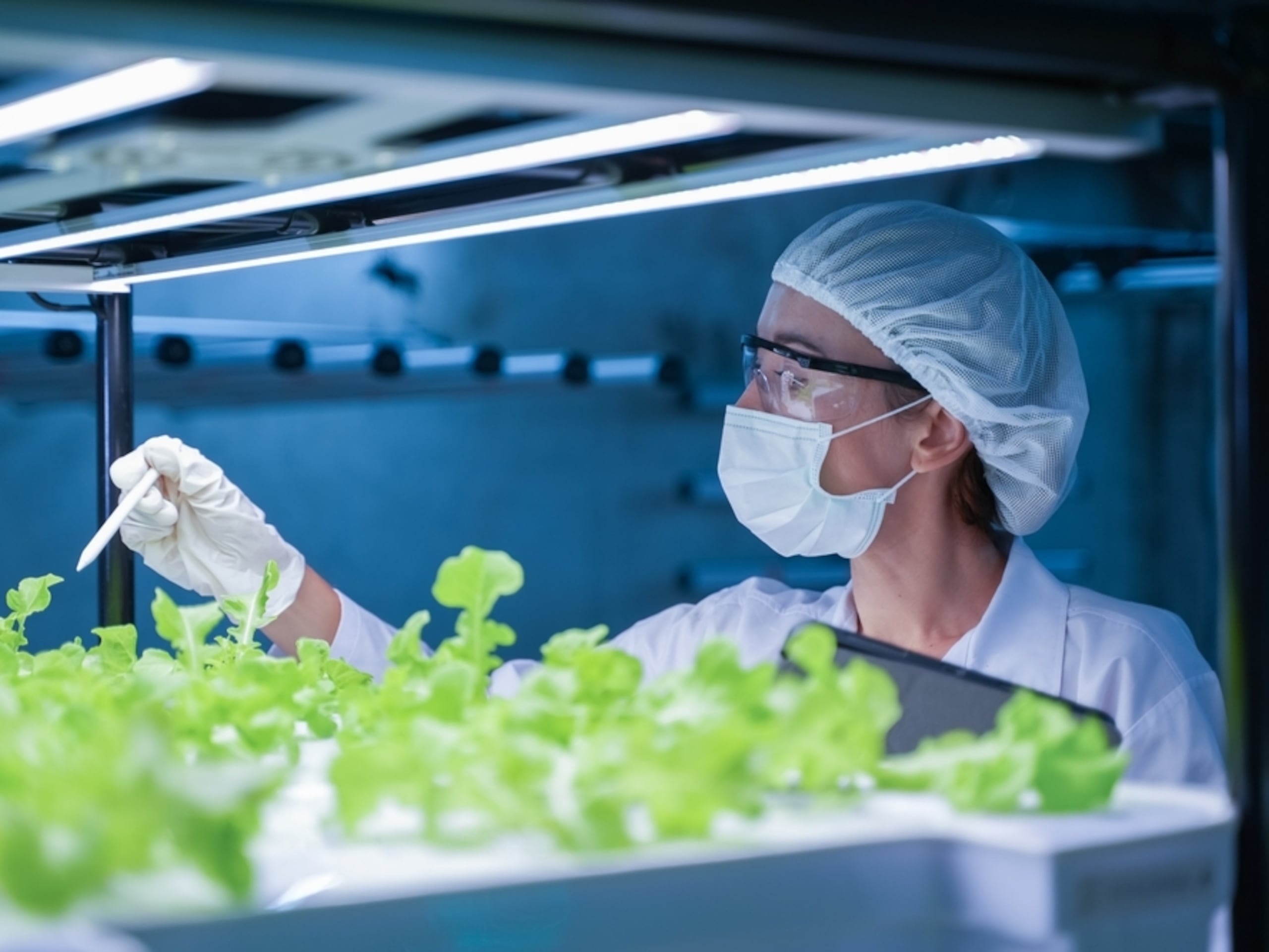 Las universidades han fortalecido las carreras en ciencias para atenderlos retos del cambio climático.