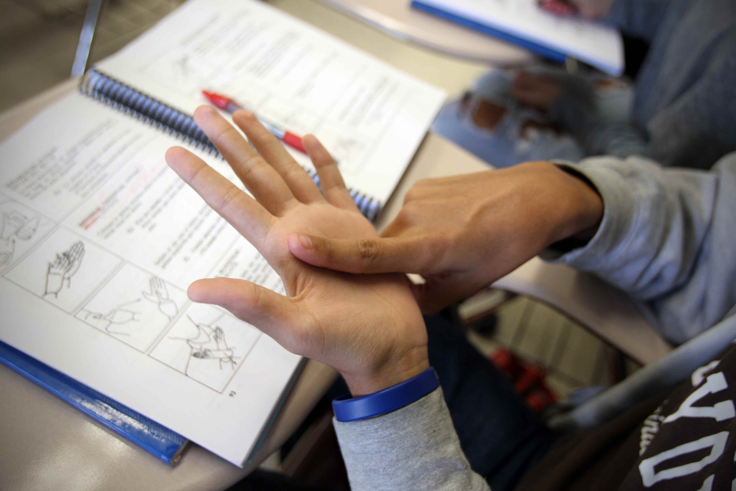 Para el año escolar 2018-2019, Educación tenía 541 estudiantes con problemas comunicológicos, entre ellos 13 sordo-ciegos. (GFR Media)