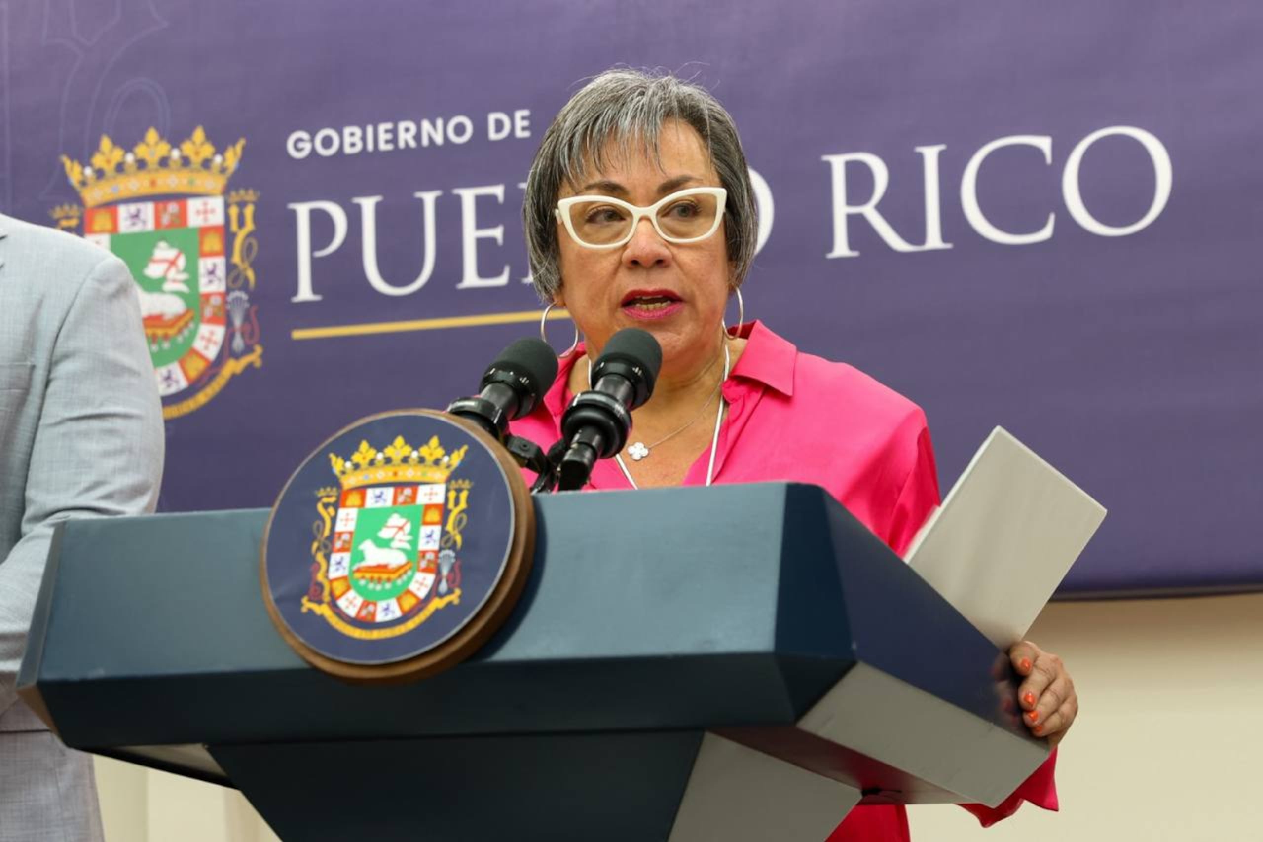 La secretaria designada del Departamento del Trabajo y Recursos Humanos, Nydza Irizarry Algarín.