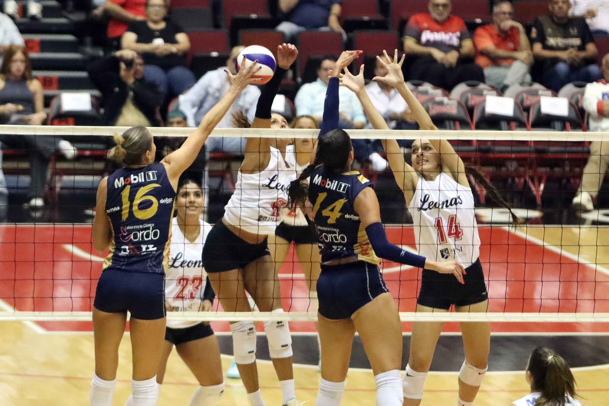 Stephanie Enright intenta un remate por las Leonas. (LVSF / Heriberto Rosario Rosa)