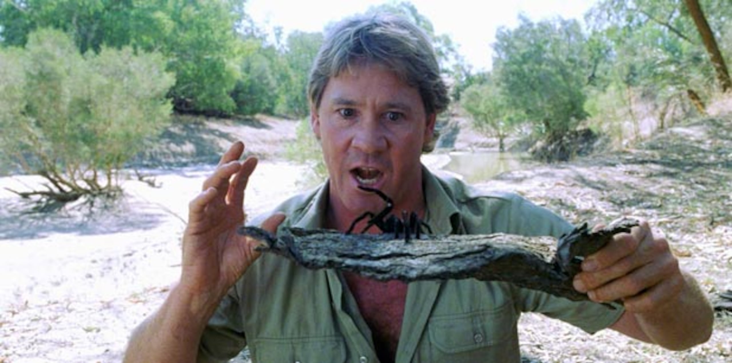 Steve Irwin sufrió un colapso luego de ser picado en el pecho por una mantarraya el 4 de septiembre de 2006. (Archivo)
