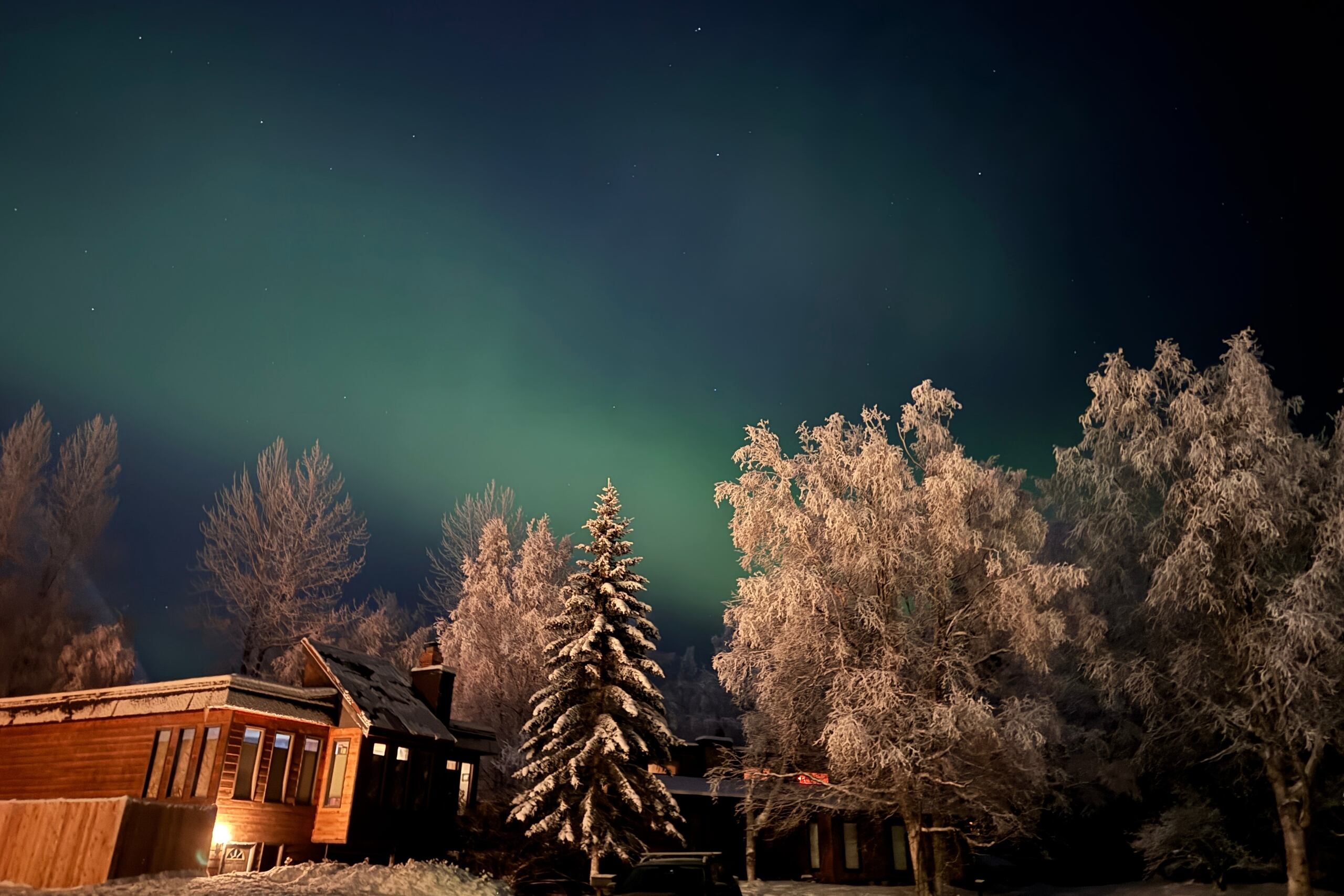 ARCHIVO - La aurora boreal brilla tras unos árboles cubiertos de escarcha, el 25 de noviembre de 2025, sobre Anchorage, Alaska. (AP Foto/Mark Thiessen, archivo)